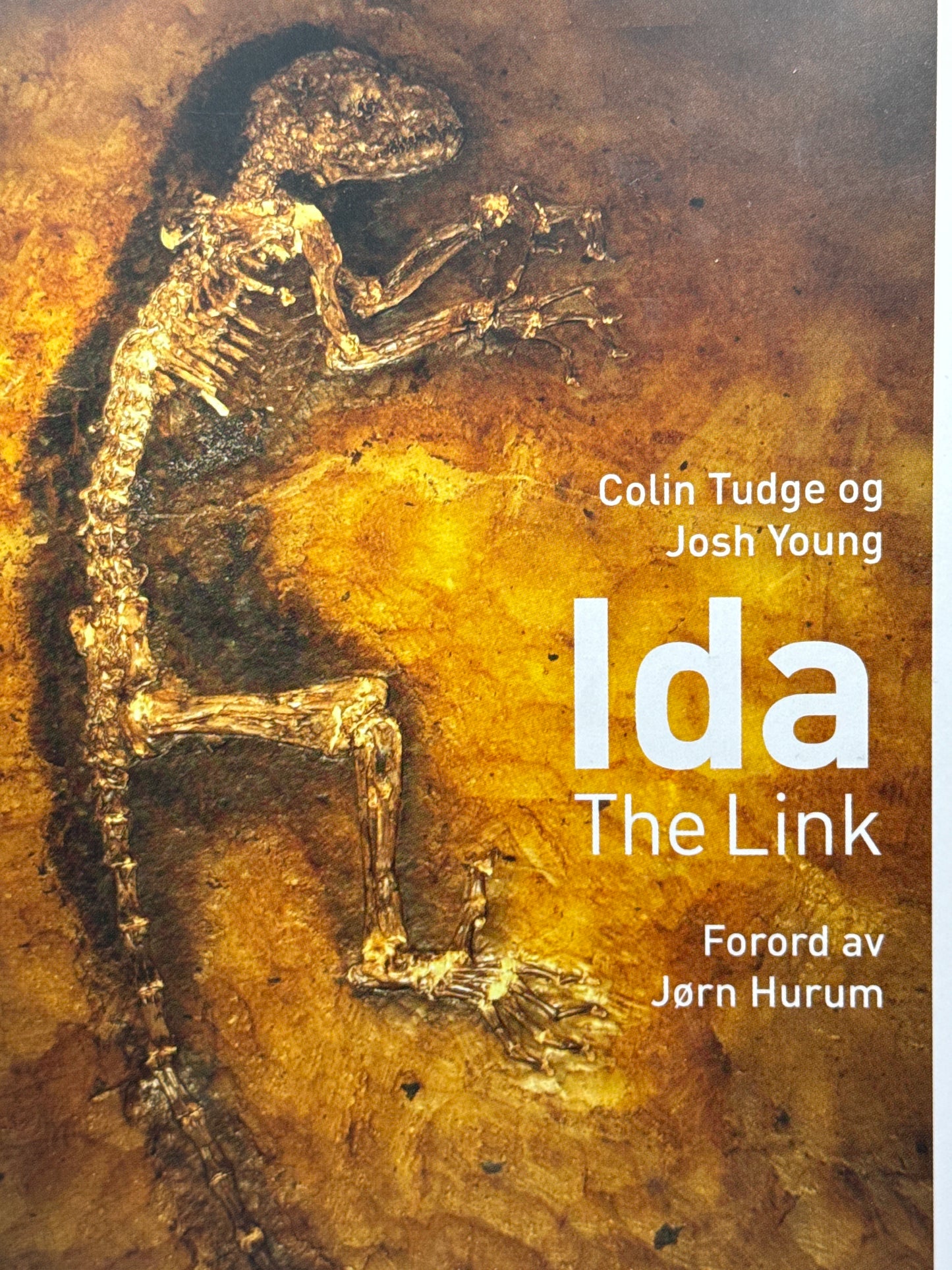 Ida - Innbundet