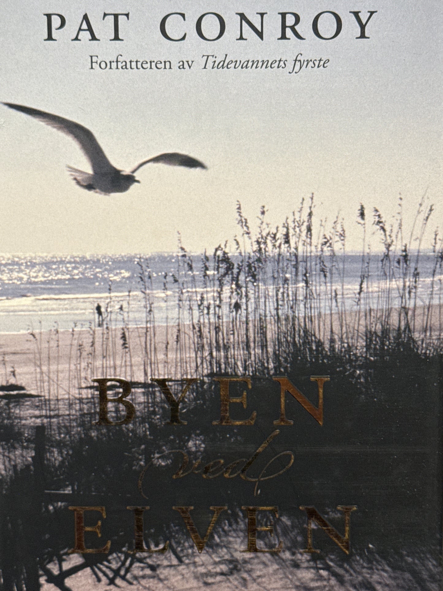Byen ved elven - Innbundet