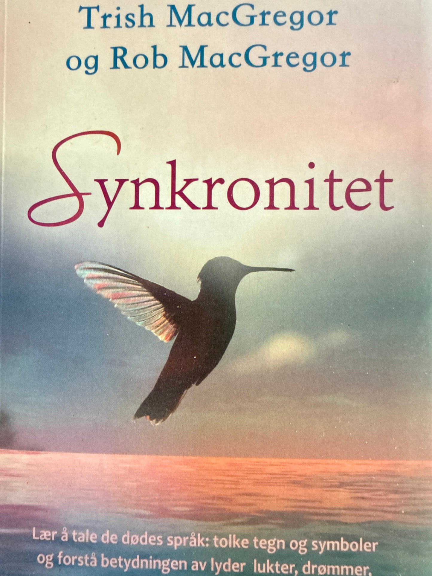 Synkronitet - Pocket