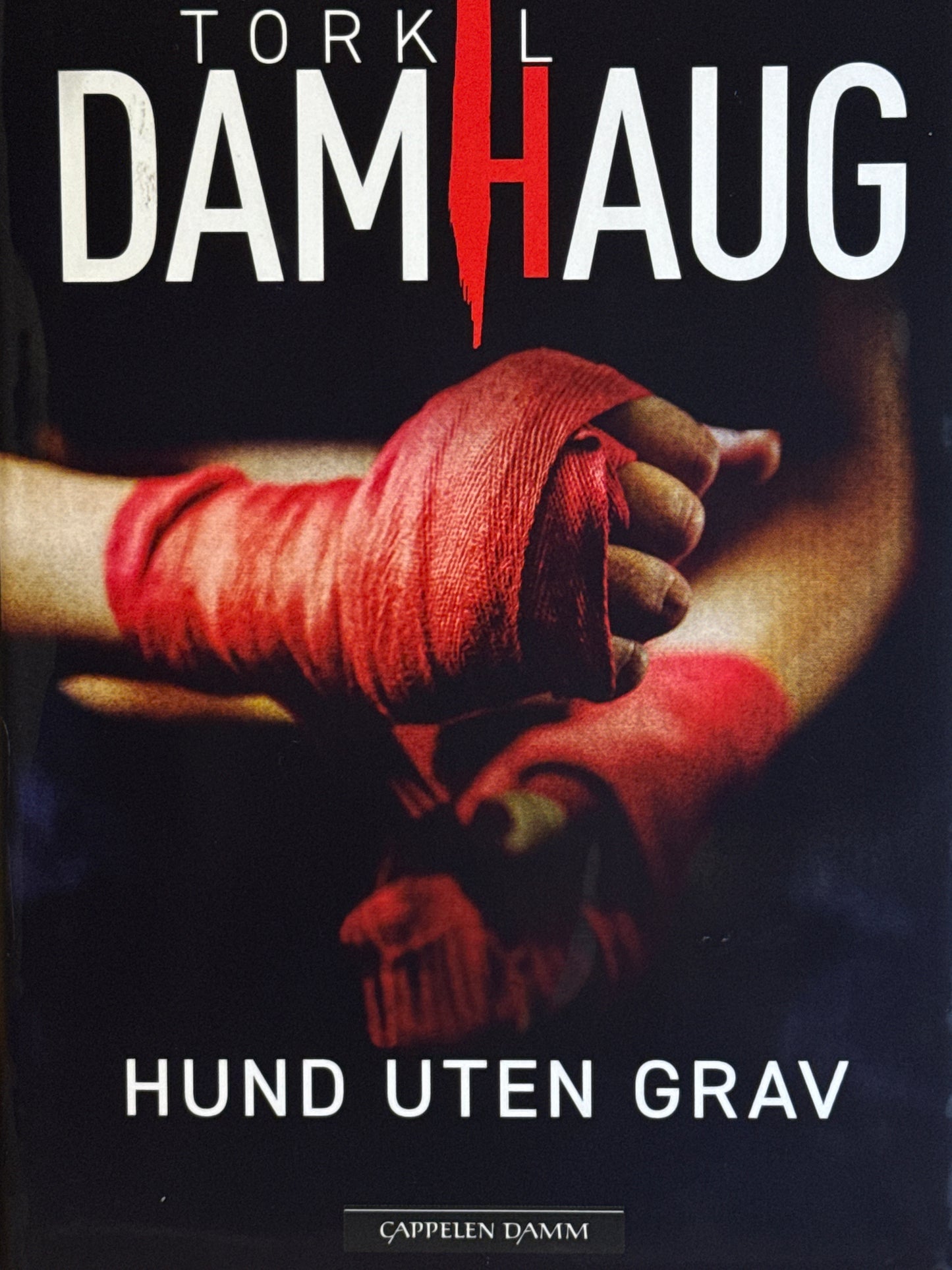 Hund uten grav - Innbundet
