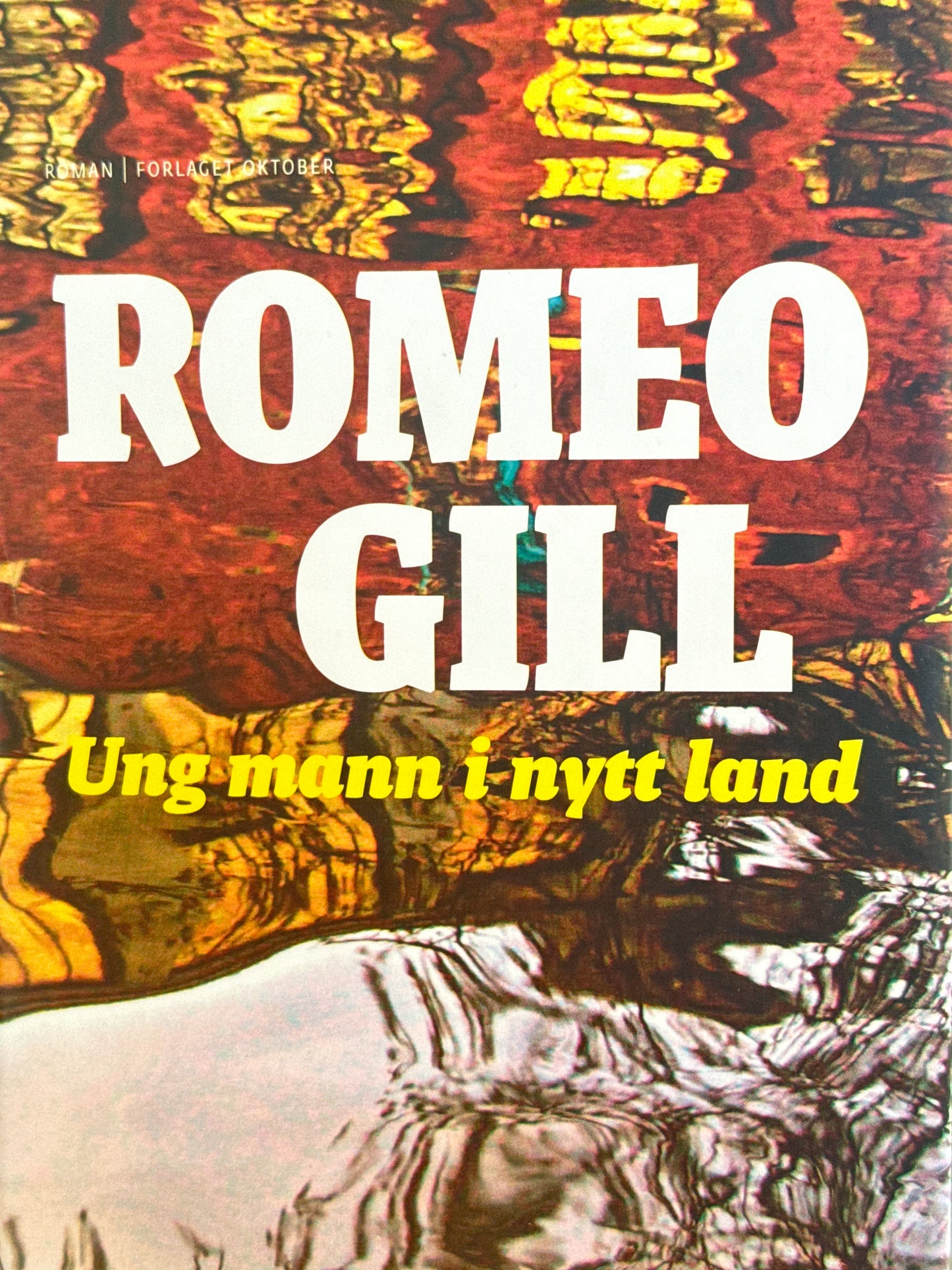Ung mann i nytt land - Innbundet
