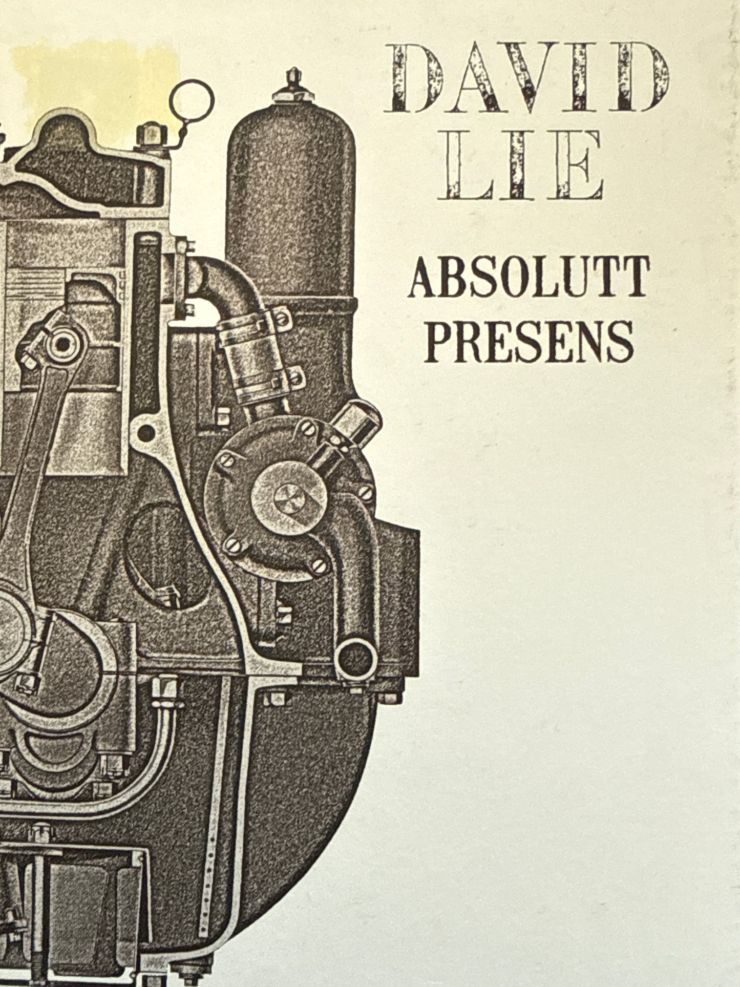 Absolutt presens - Innbundet