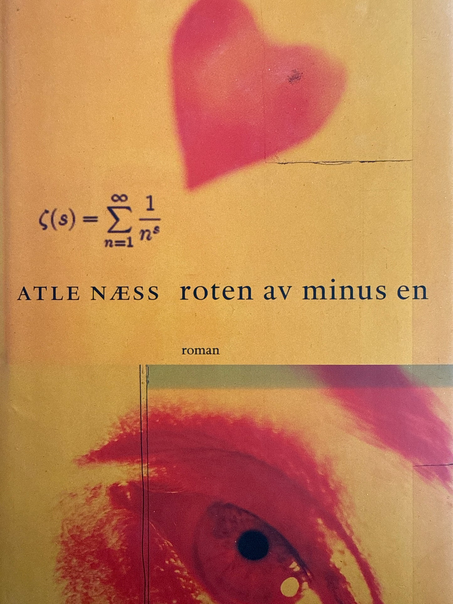 Roten av minus en - Innbundet