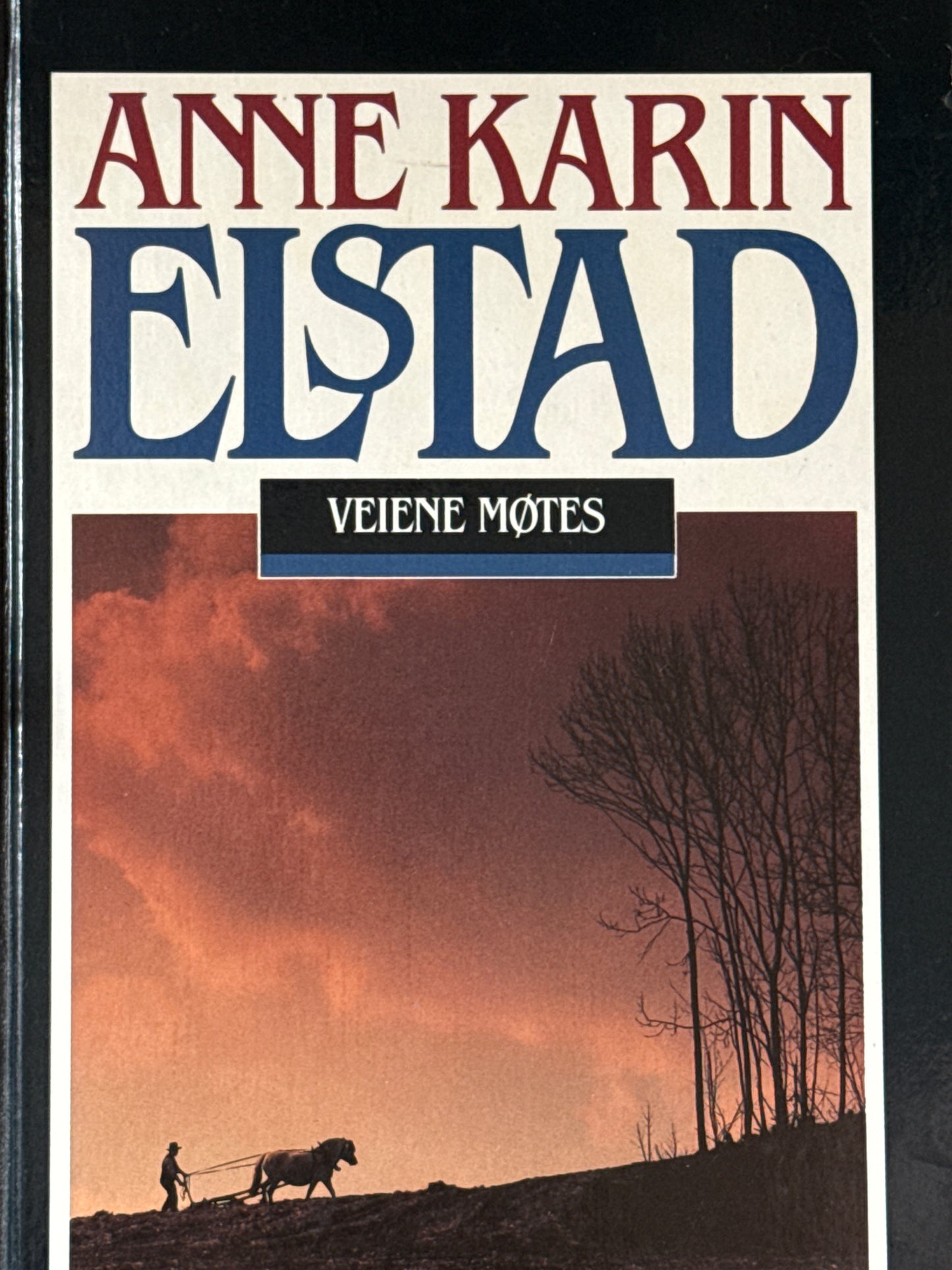 Veiene møtes - Innbundet