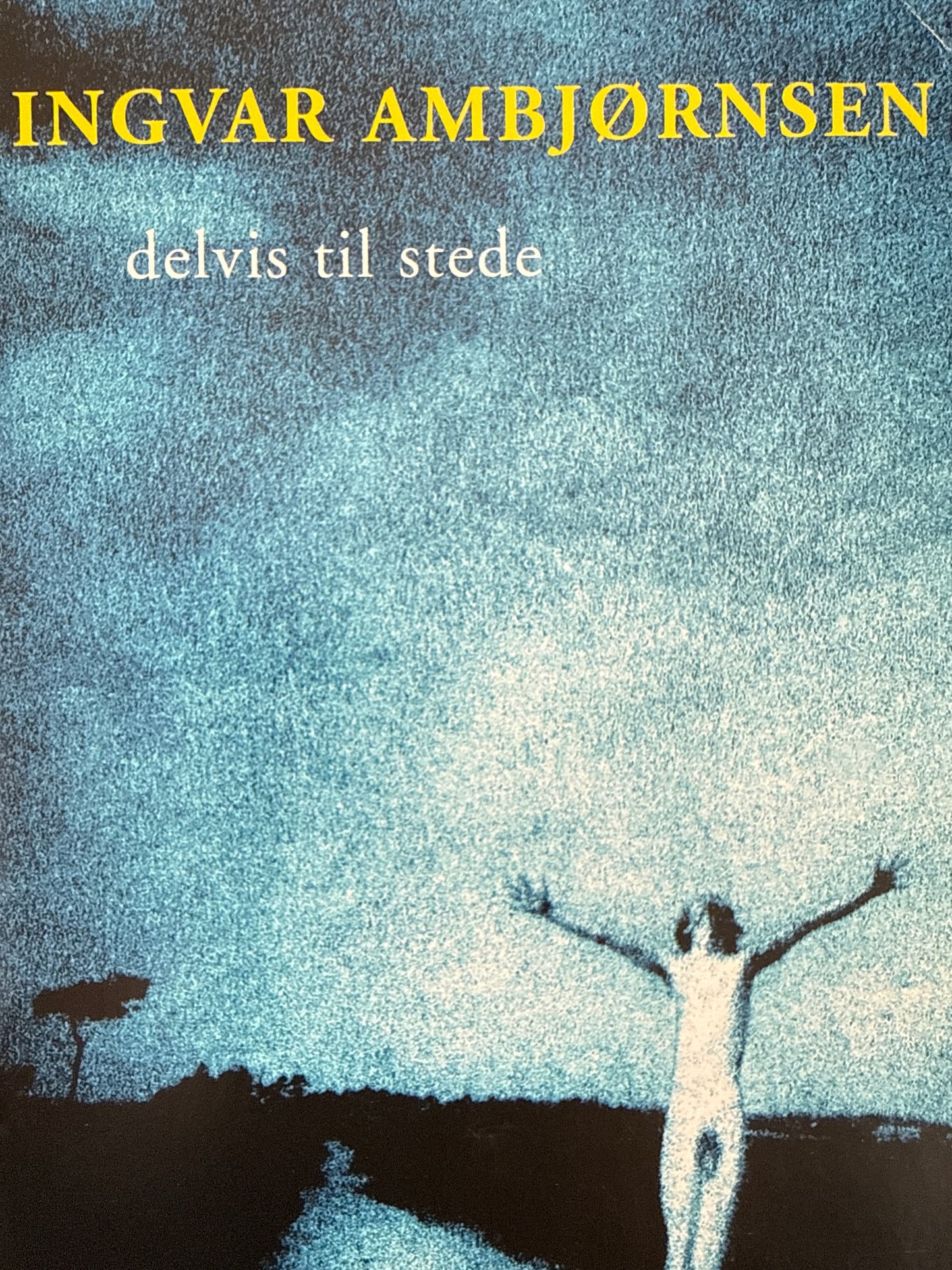 Delvis til stede - Innbundet