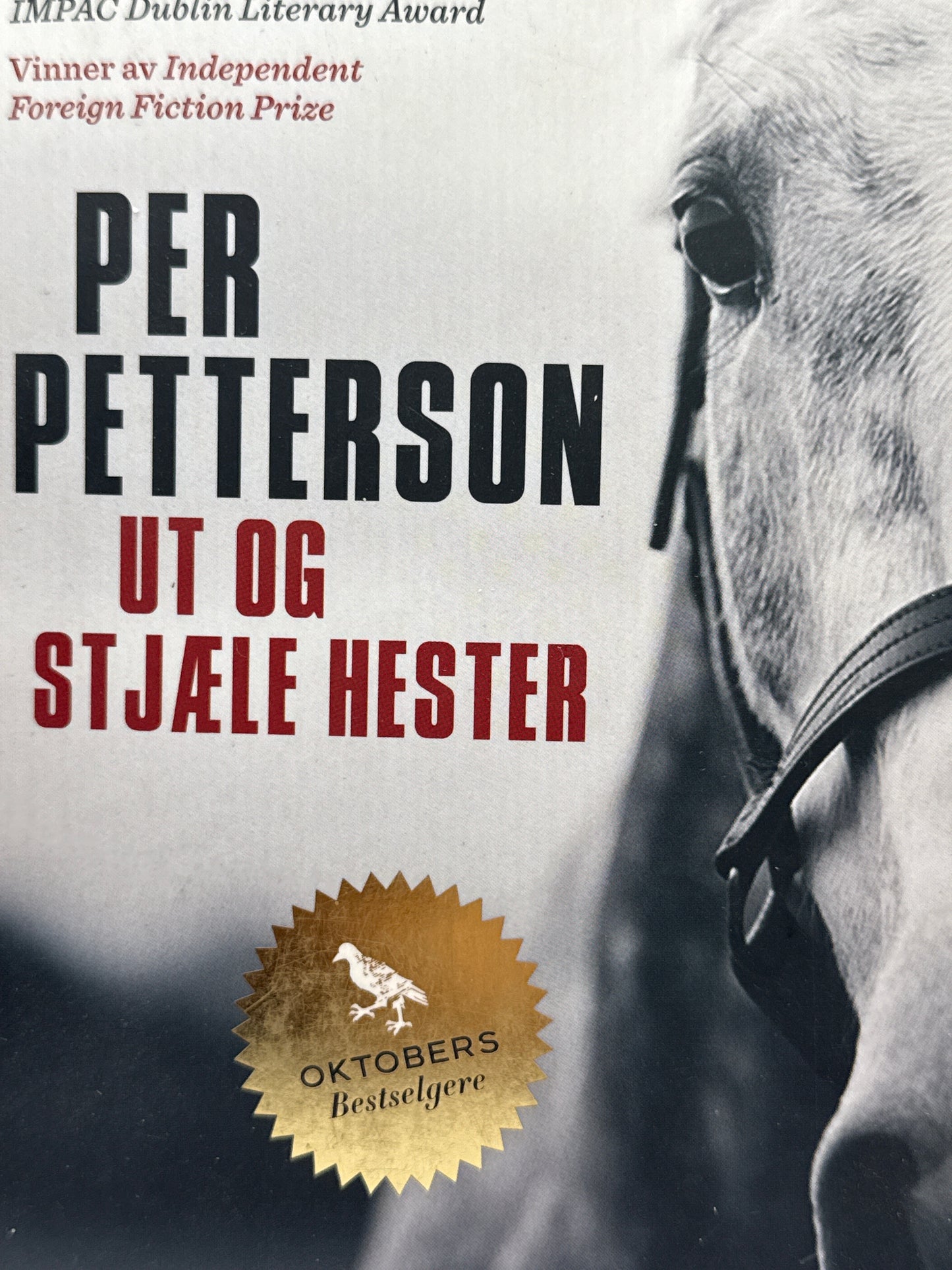 Ut og stjæle hester - Pocket