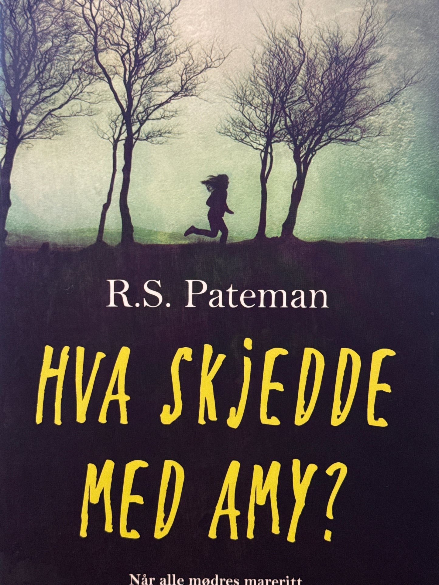 Hva skjedde med Amy? - Innbundet