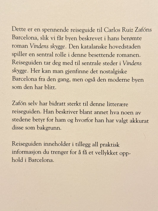 Vindens skygge - Pocket