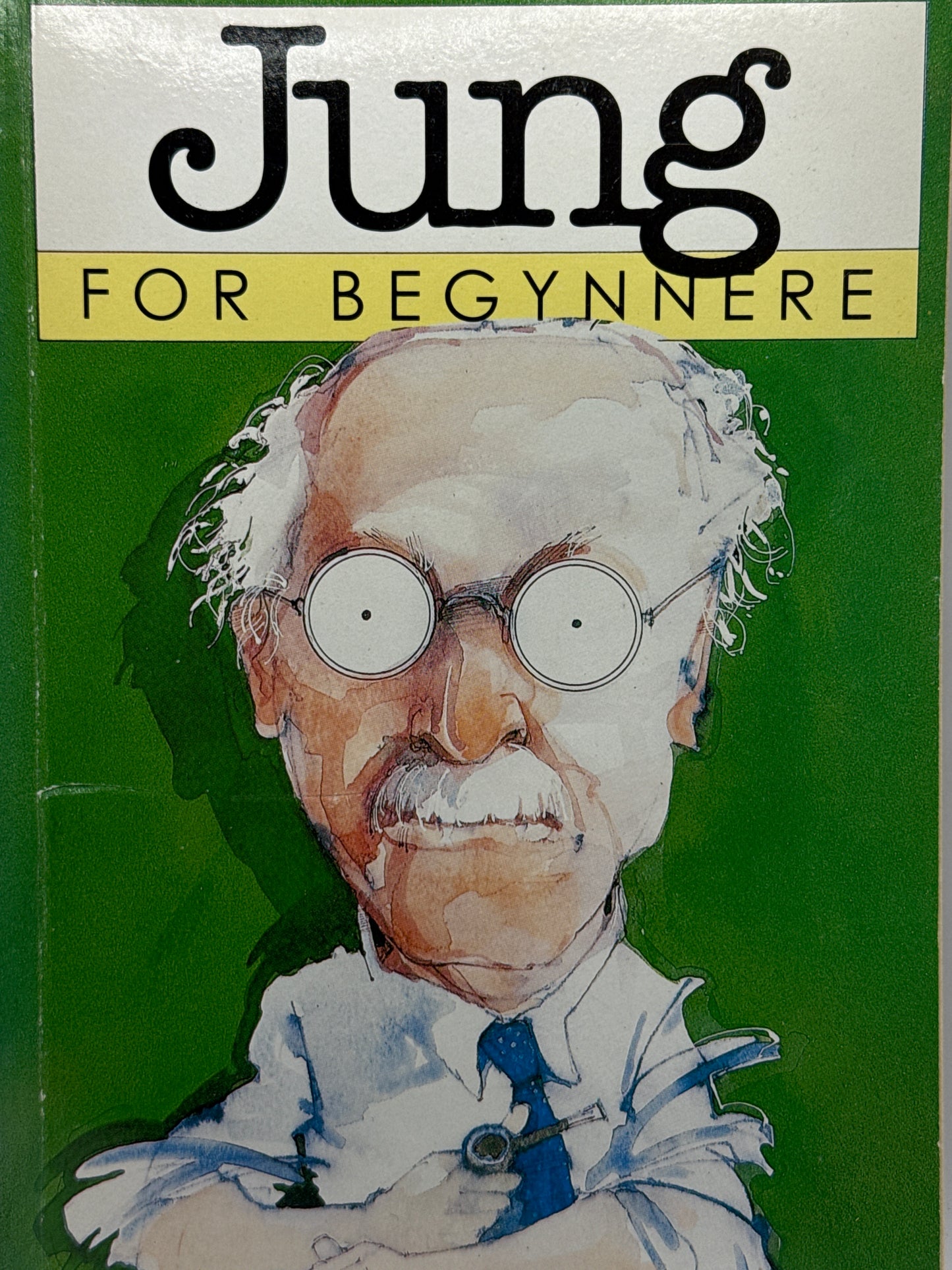 Jung for begynnere - Pocket