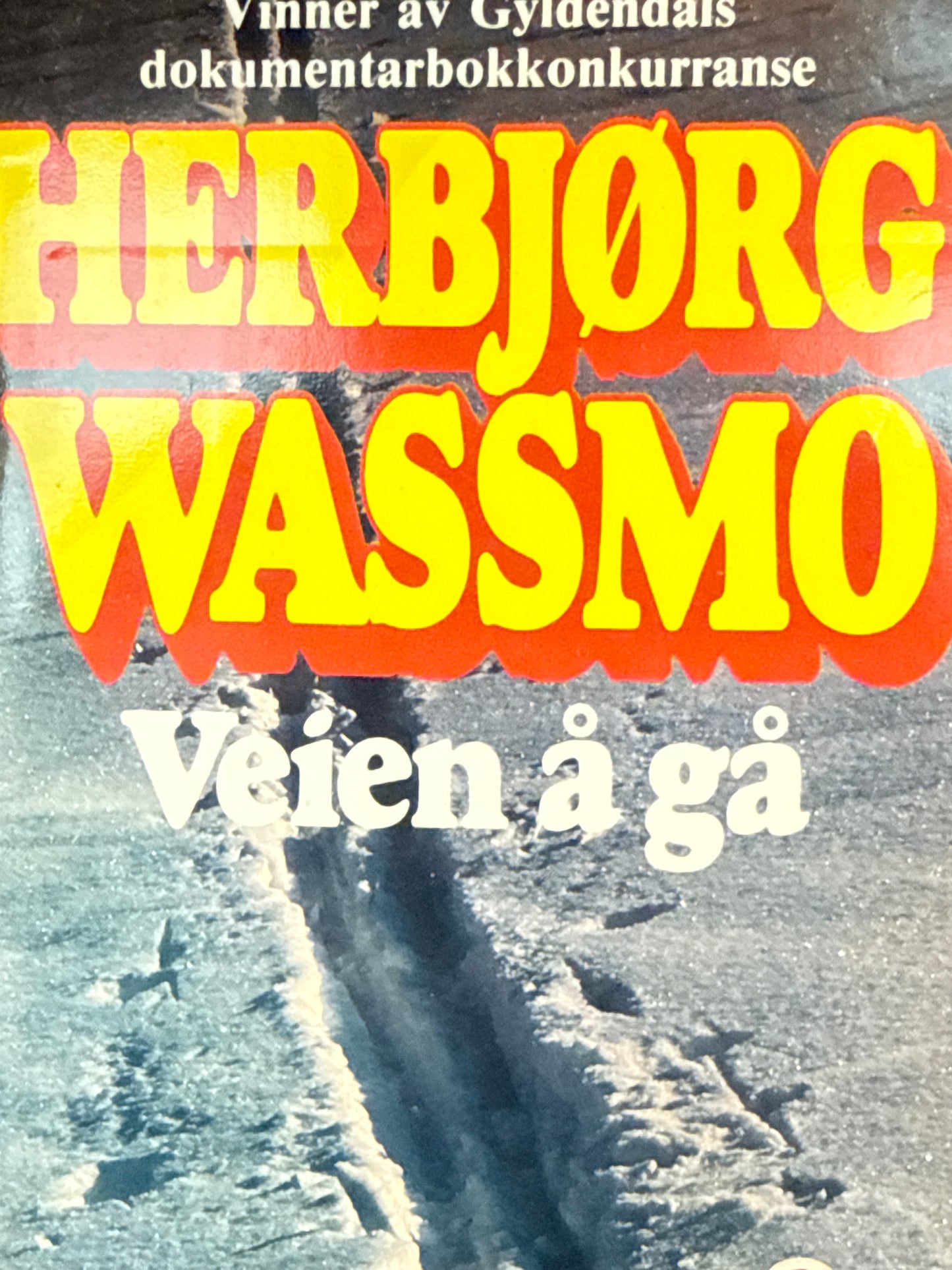 Veien å gå - Pocket