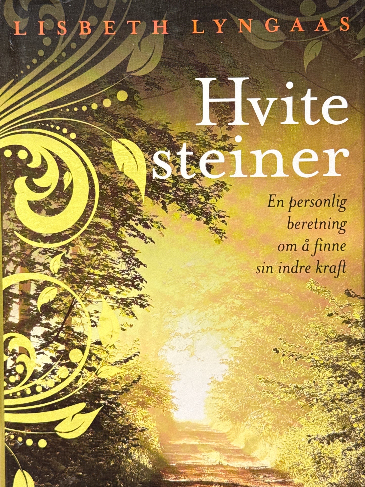 Hvite steiner - Innbundet