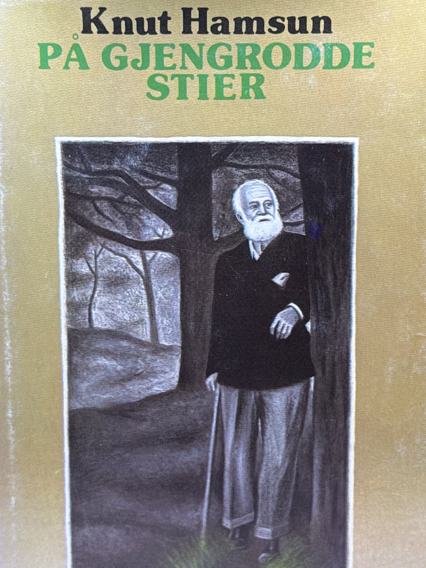 På gjengrodde stier - Innbundet