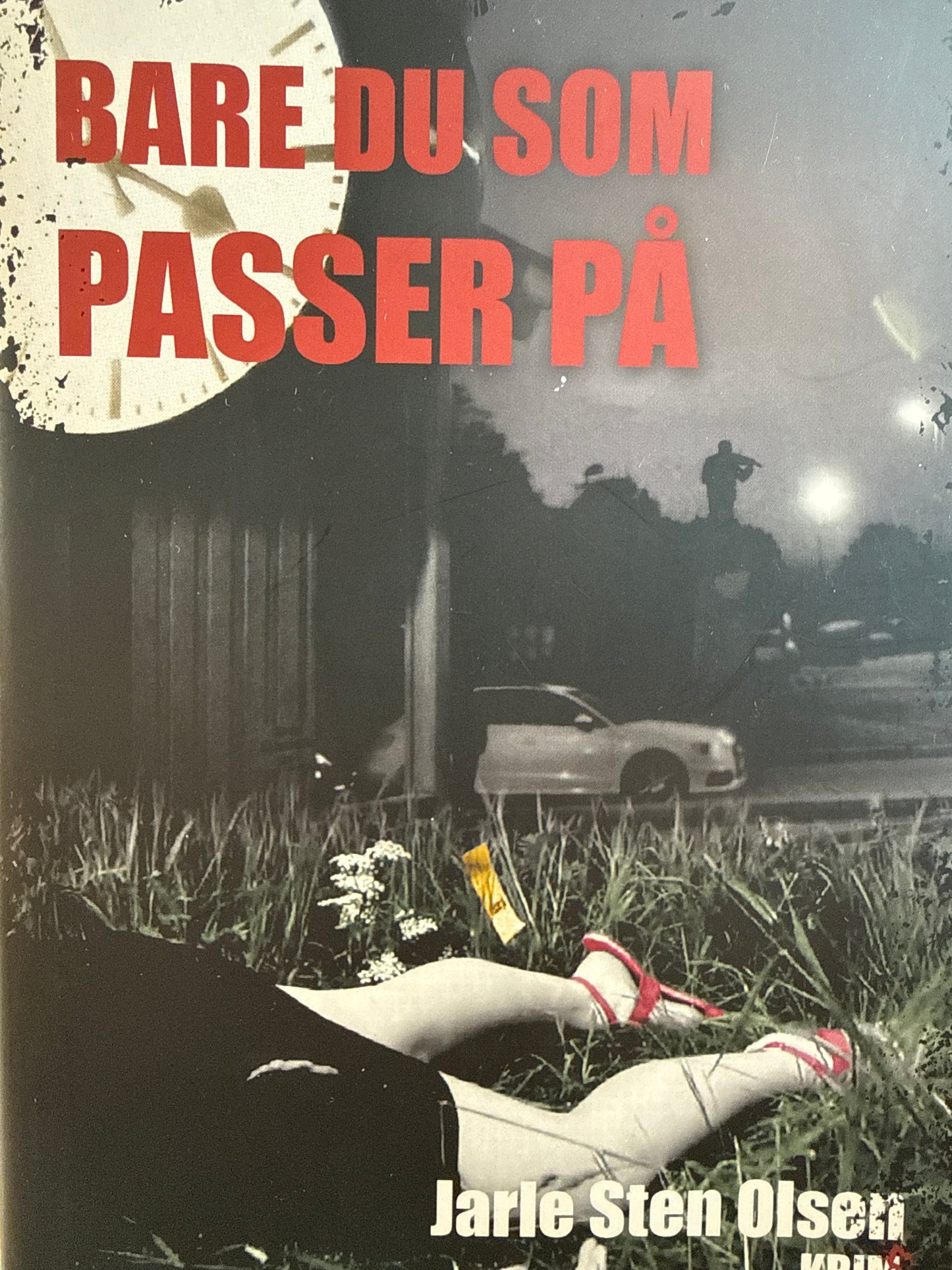 Bare du som passer på - Innbundet