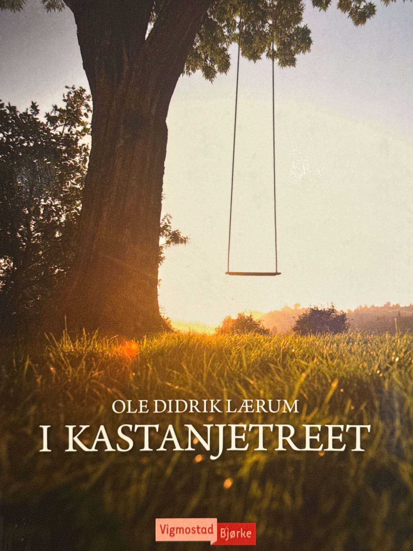 I kastanjetreet - Innbundet