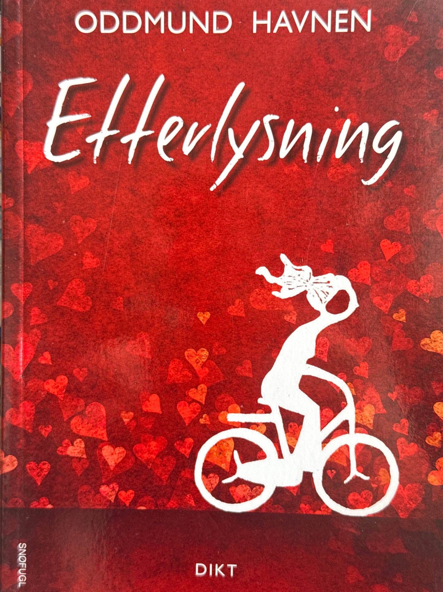 Etterlysning - Pocket