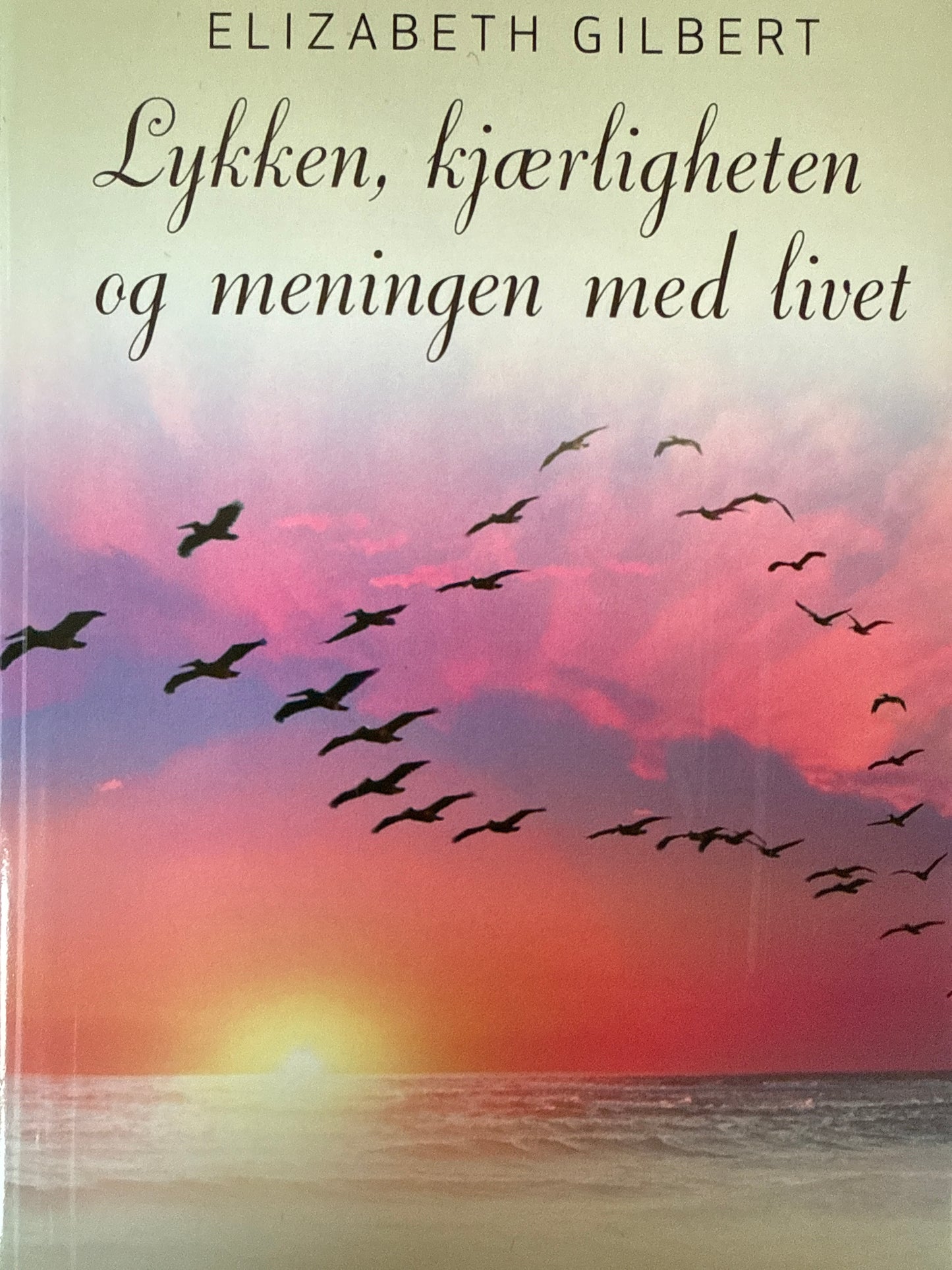 Lykken, kjærligheten og meningen med livet - Innbundet