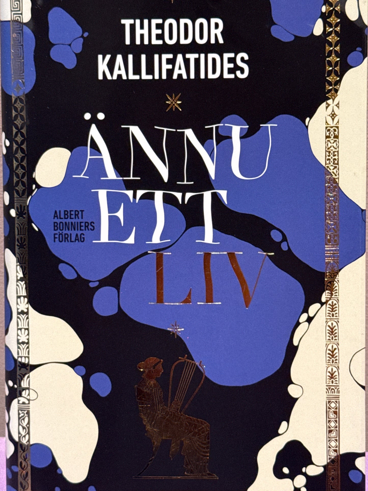 Ännu ett liv - Innbundet