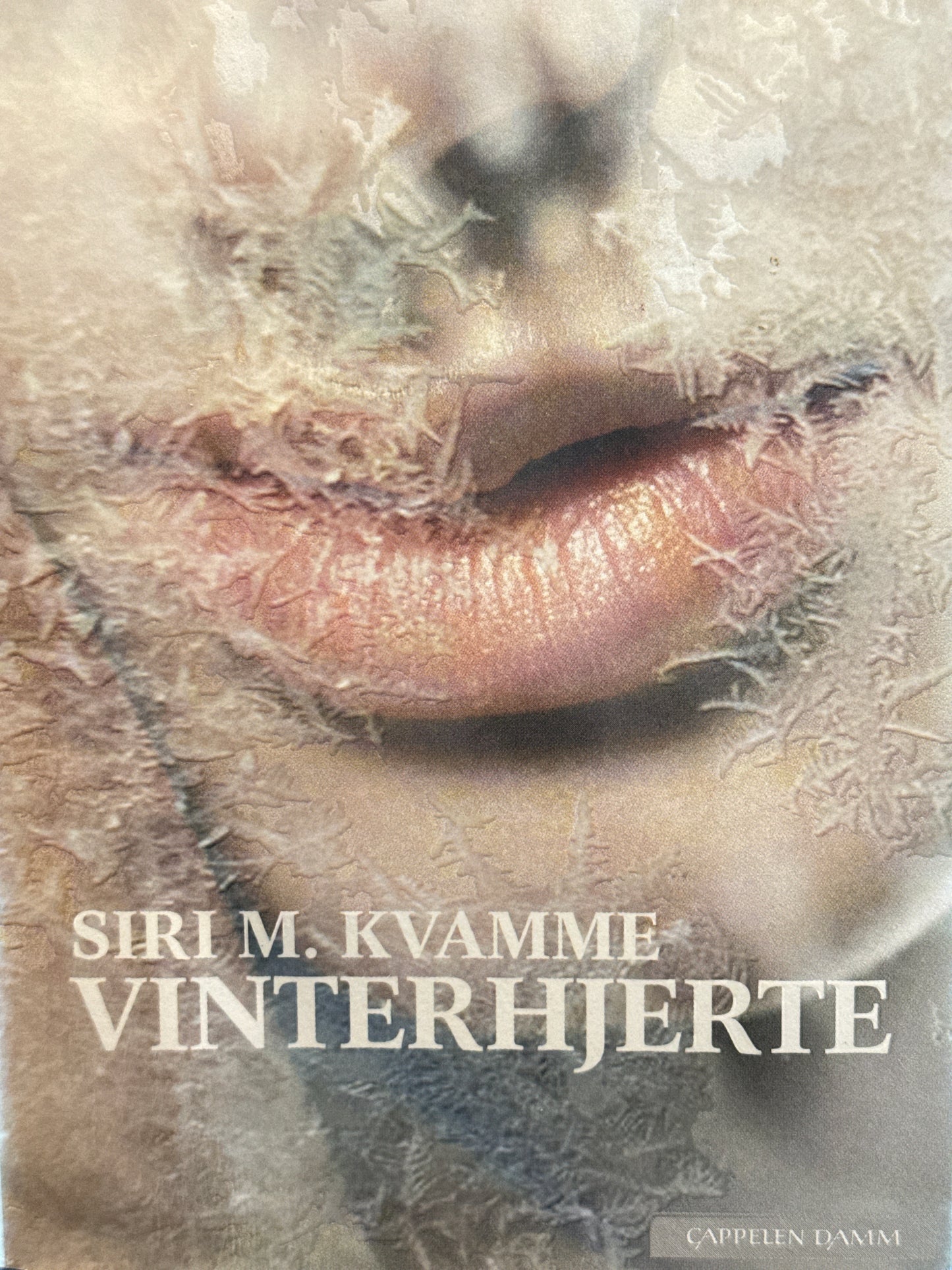 Vinterhjerte - Innbundet