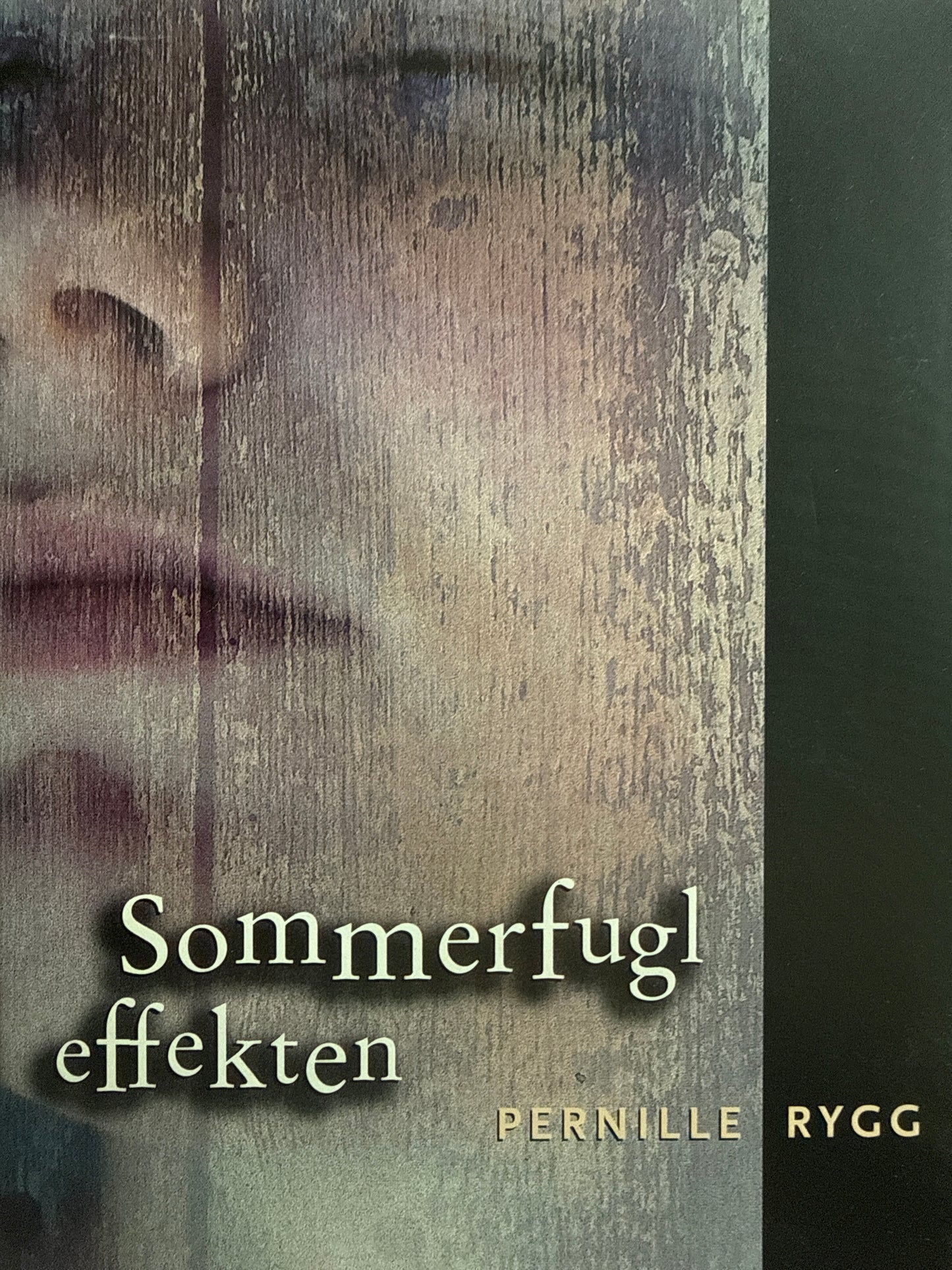 Sommerfugleffekten - Innbundet