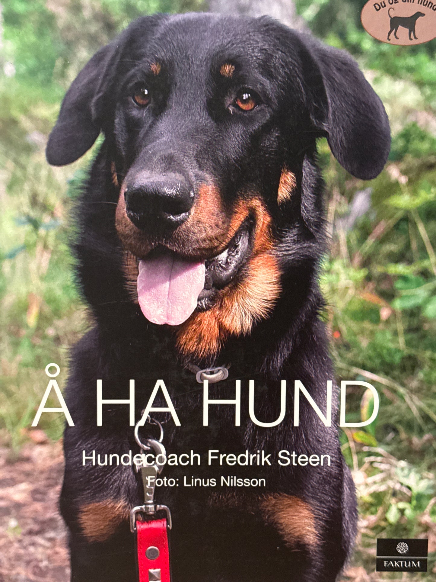 Å ha hund - Innbundet