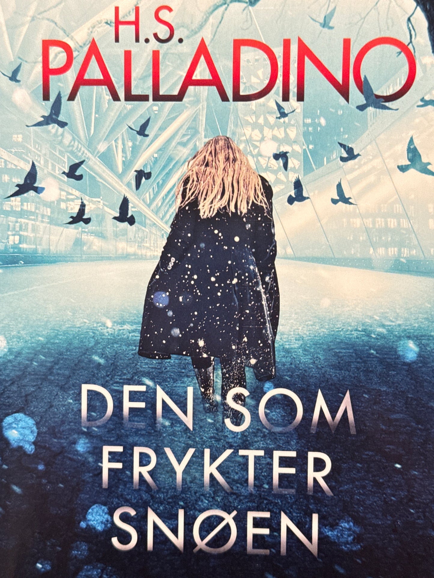 Den som frykter snøen - Innbundet