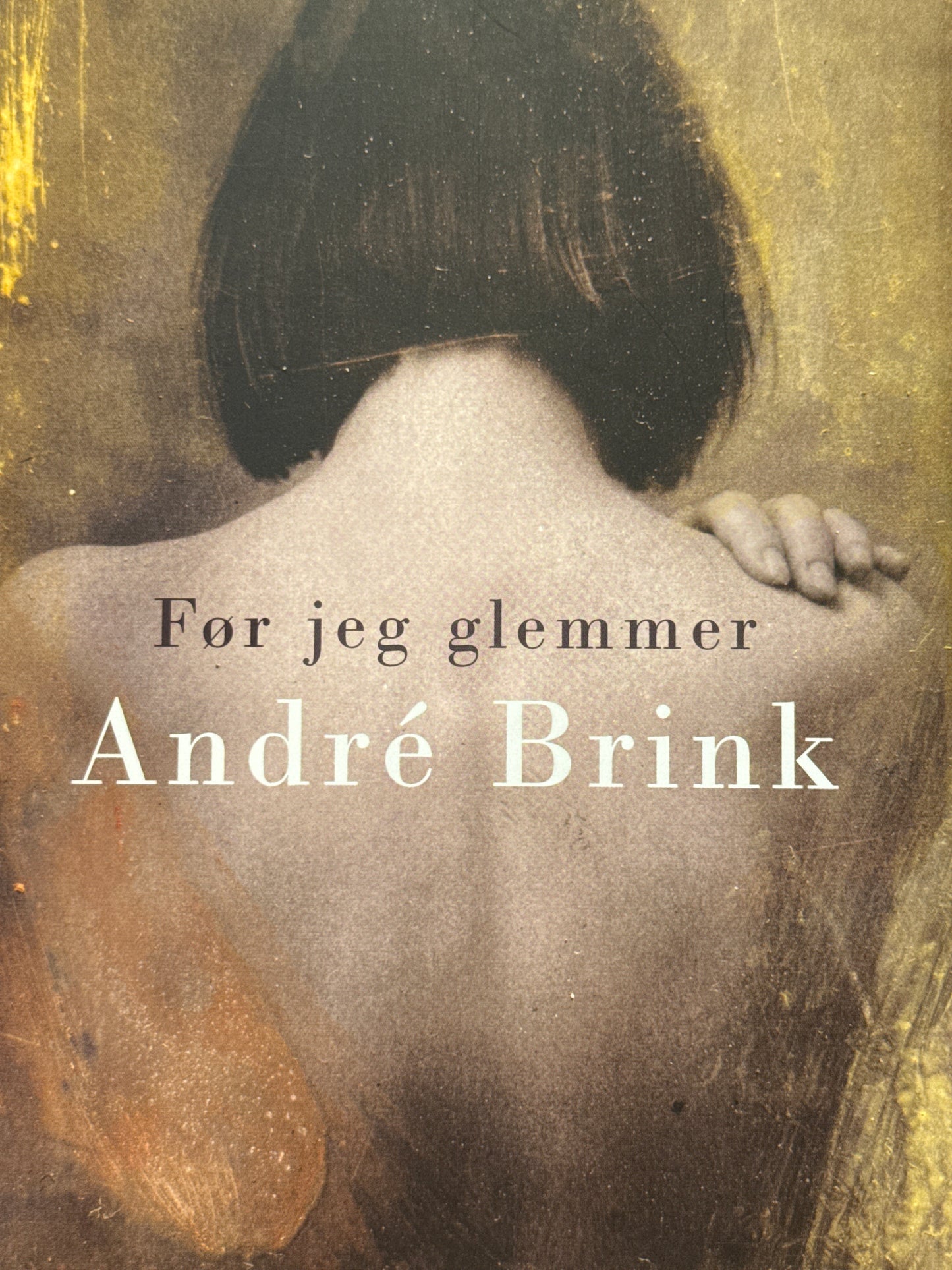 Før jeg glemmer - Innbundet