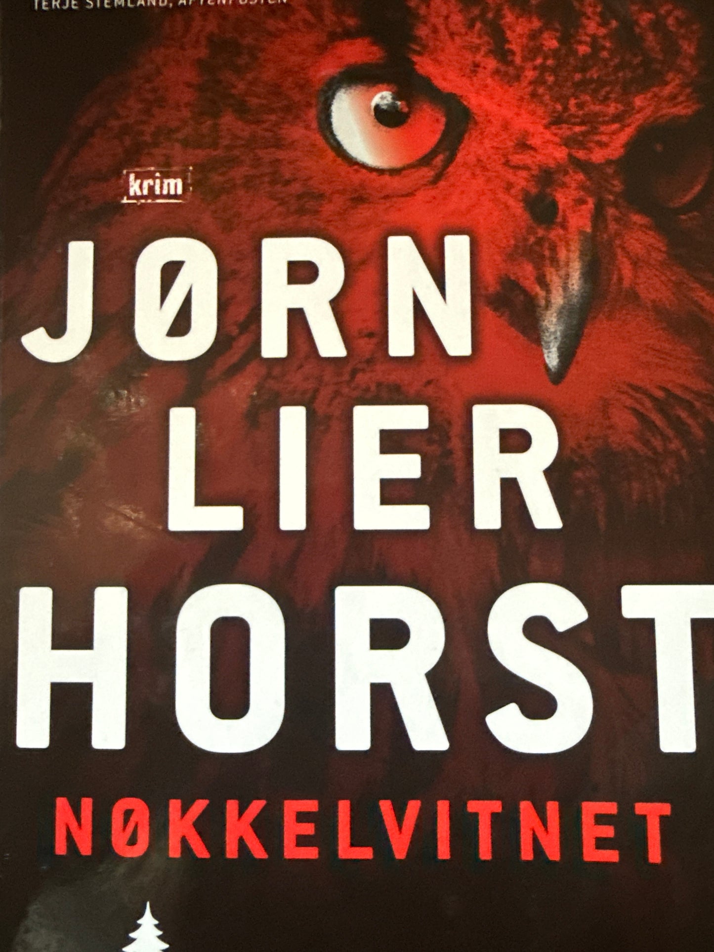 Nøkkelvitnet - Pocket