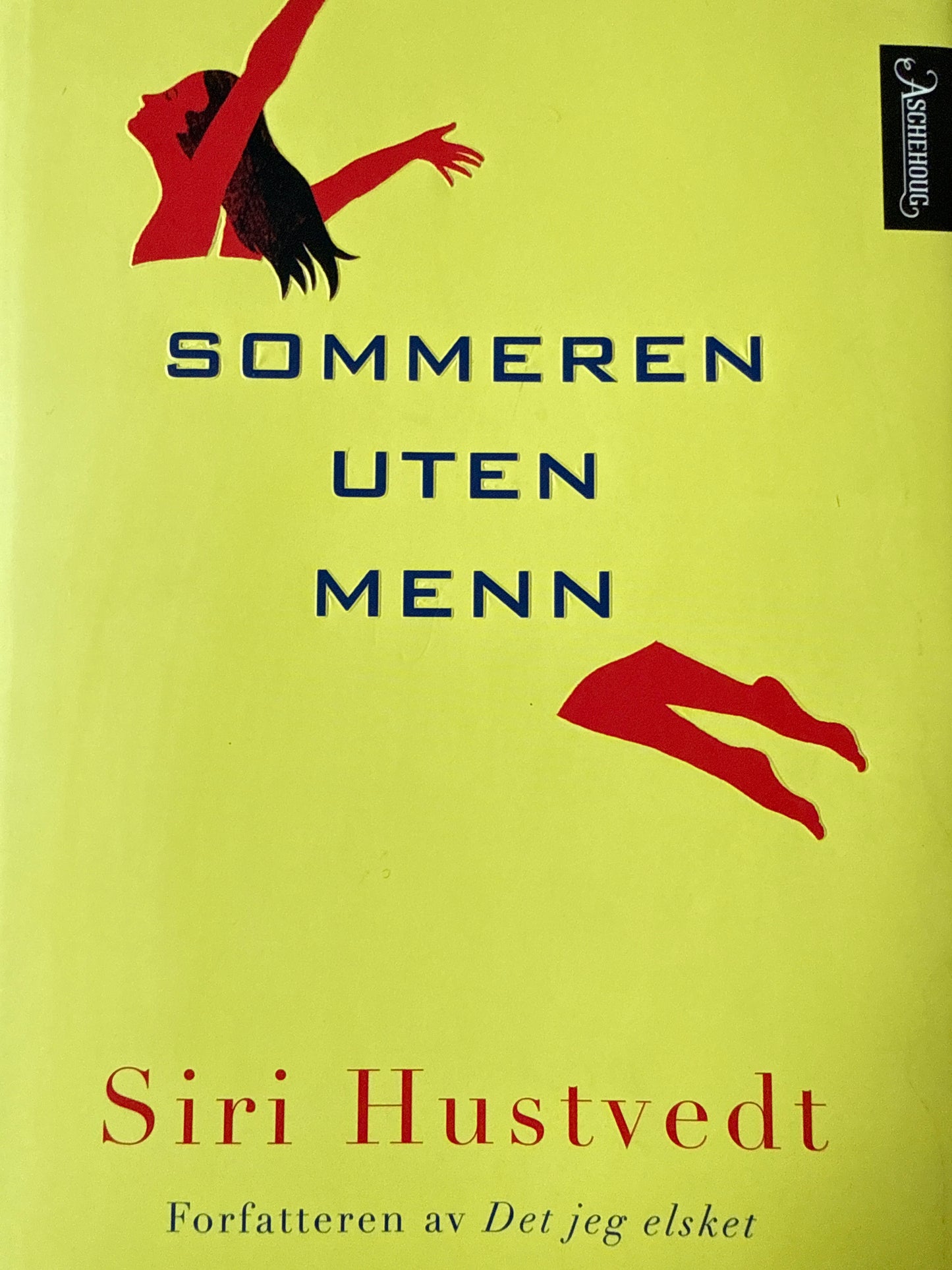 Sommeren uten menn - Innbundet