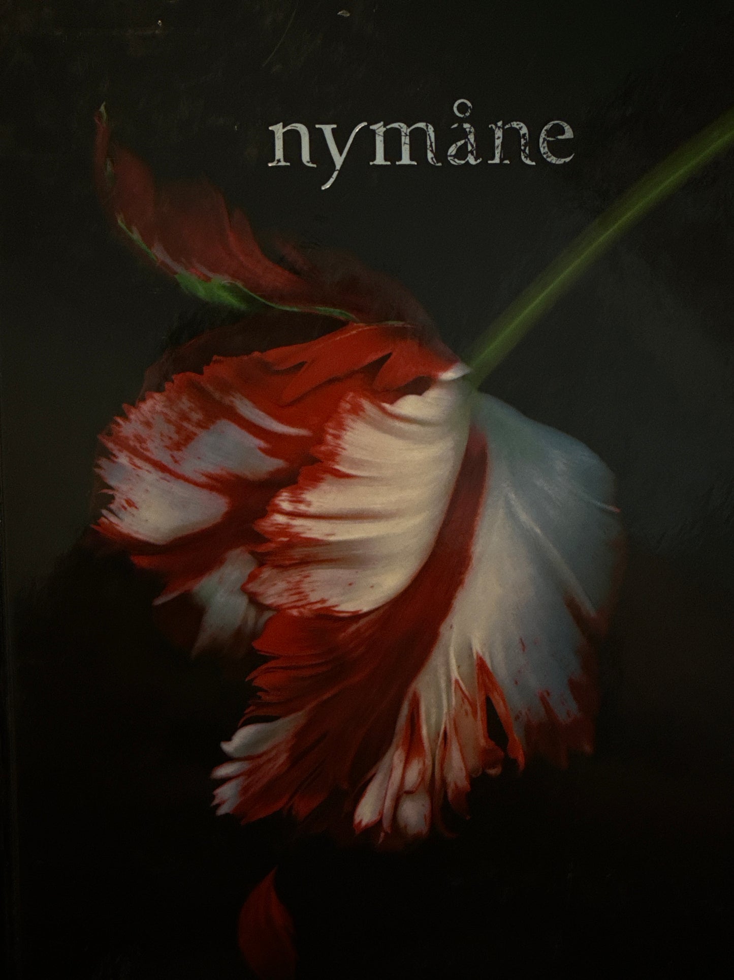 Nymåne - Innbundet