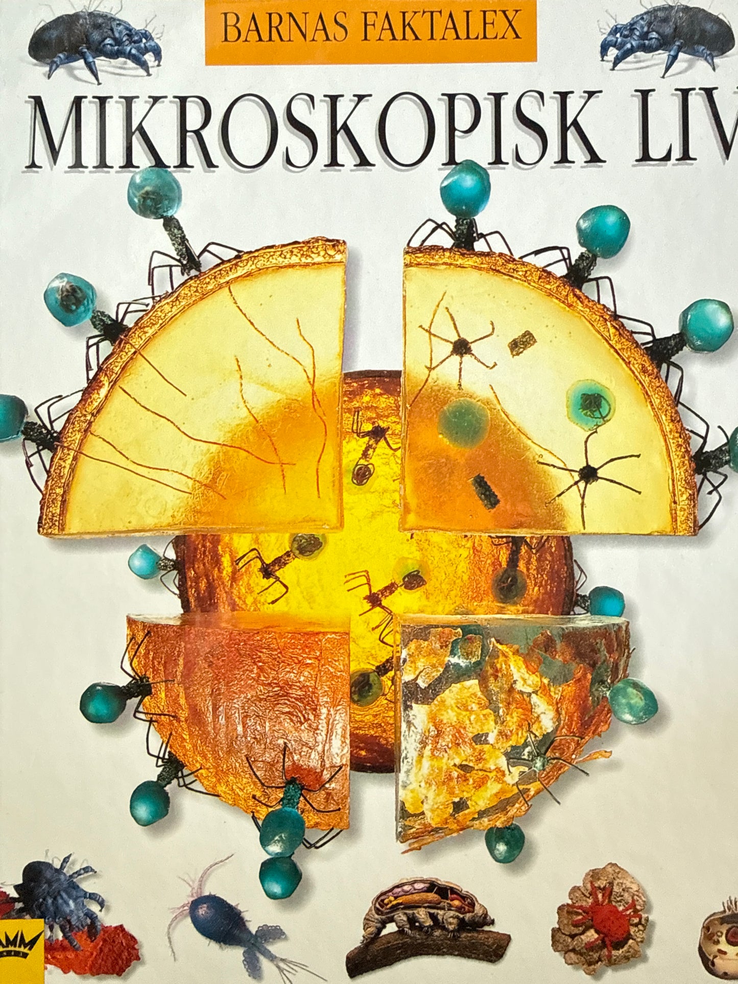 Mikroskopisk liv - Innbundet