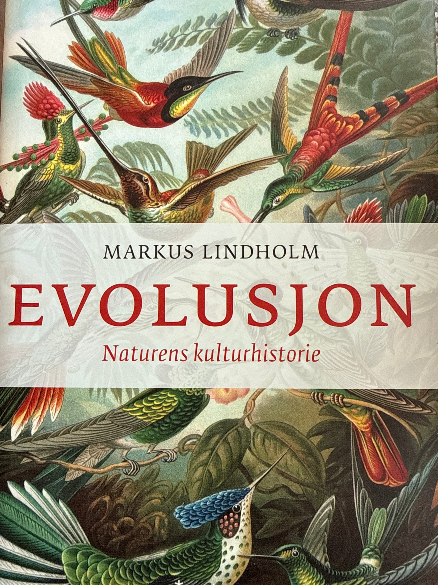 Evolusjon - Innbundet