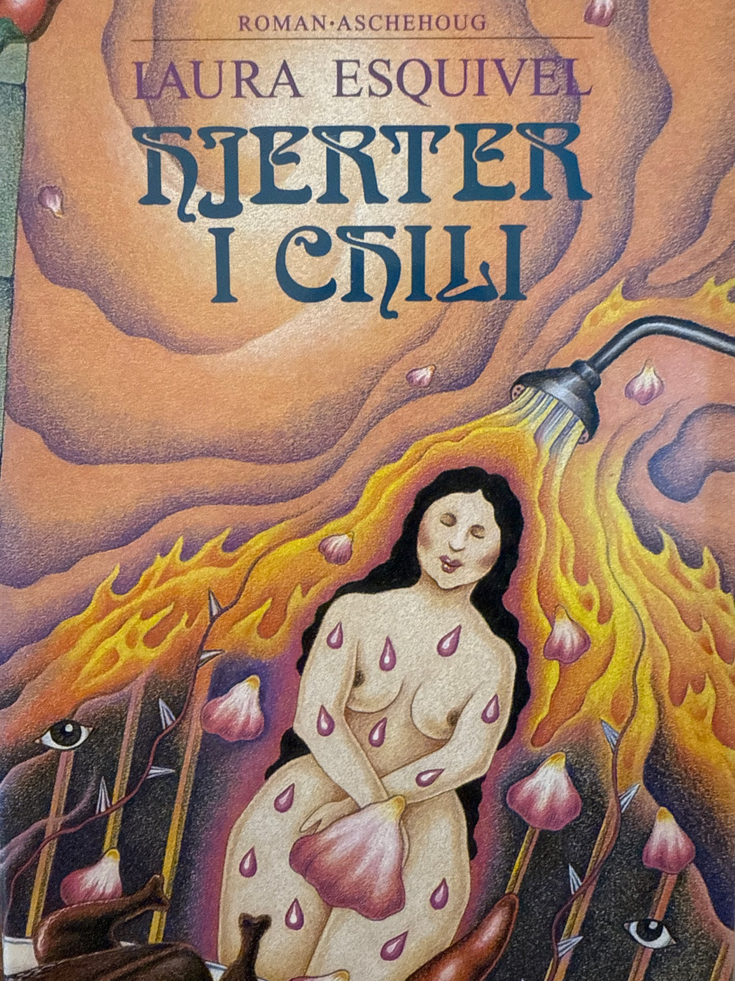 Hjerter i chili - Innbundet