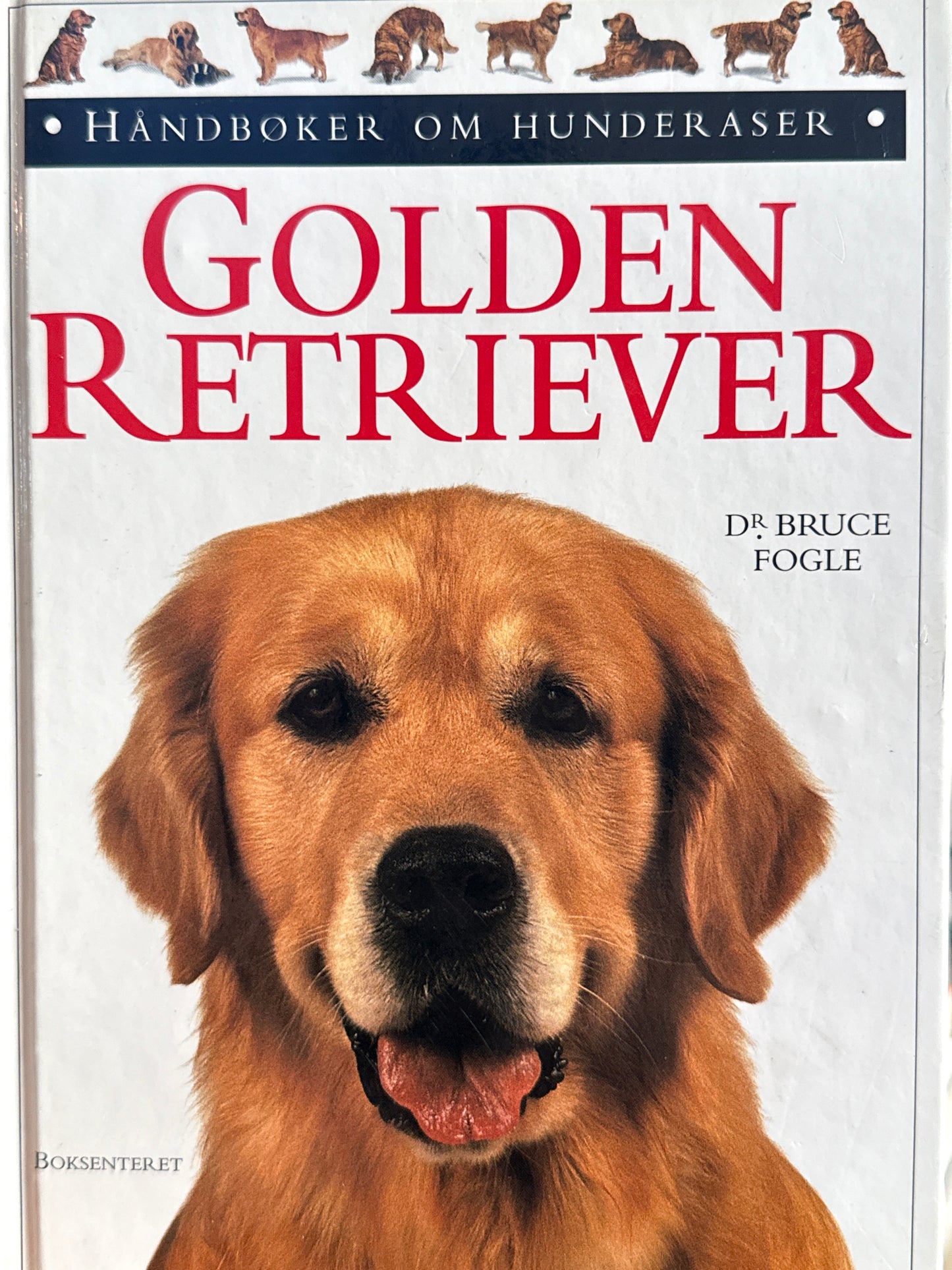 Golden retriever - Innbundet