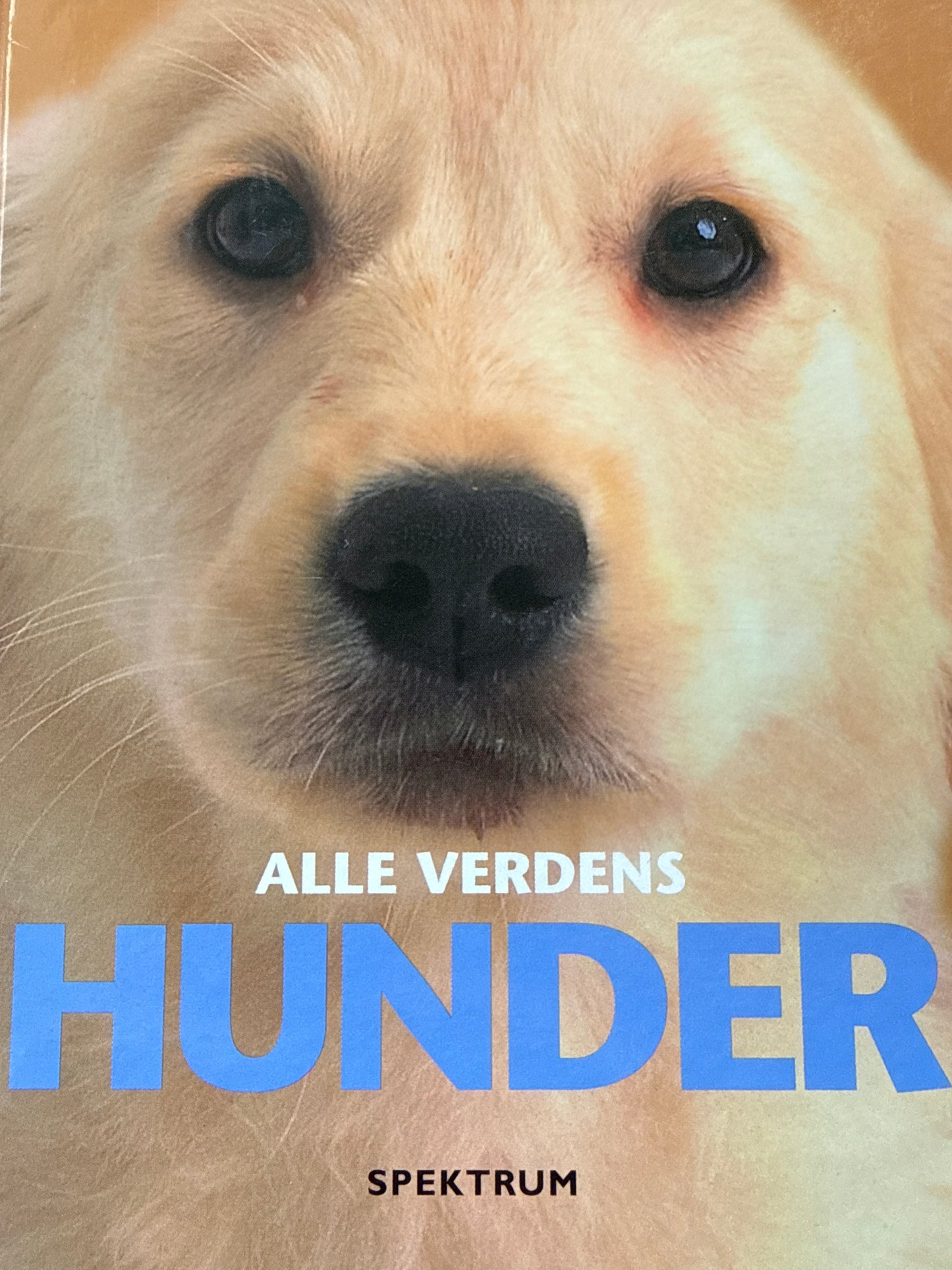 Alle verdens hunder - Innbundet