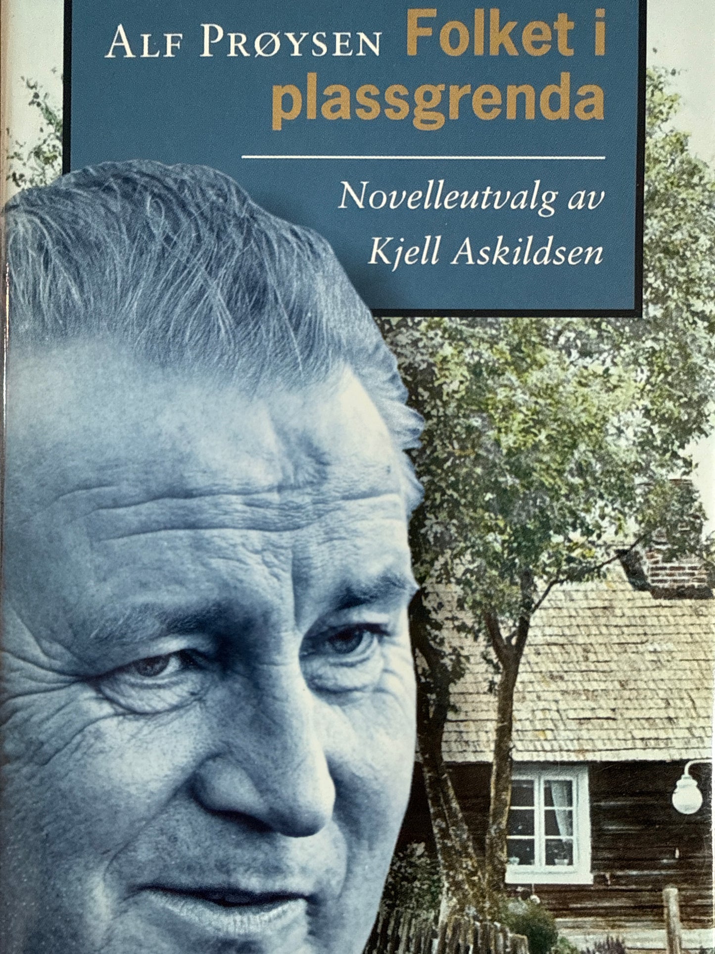 Folket i plassgrenda - Innbundet
