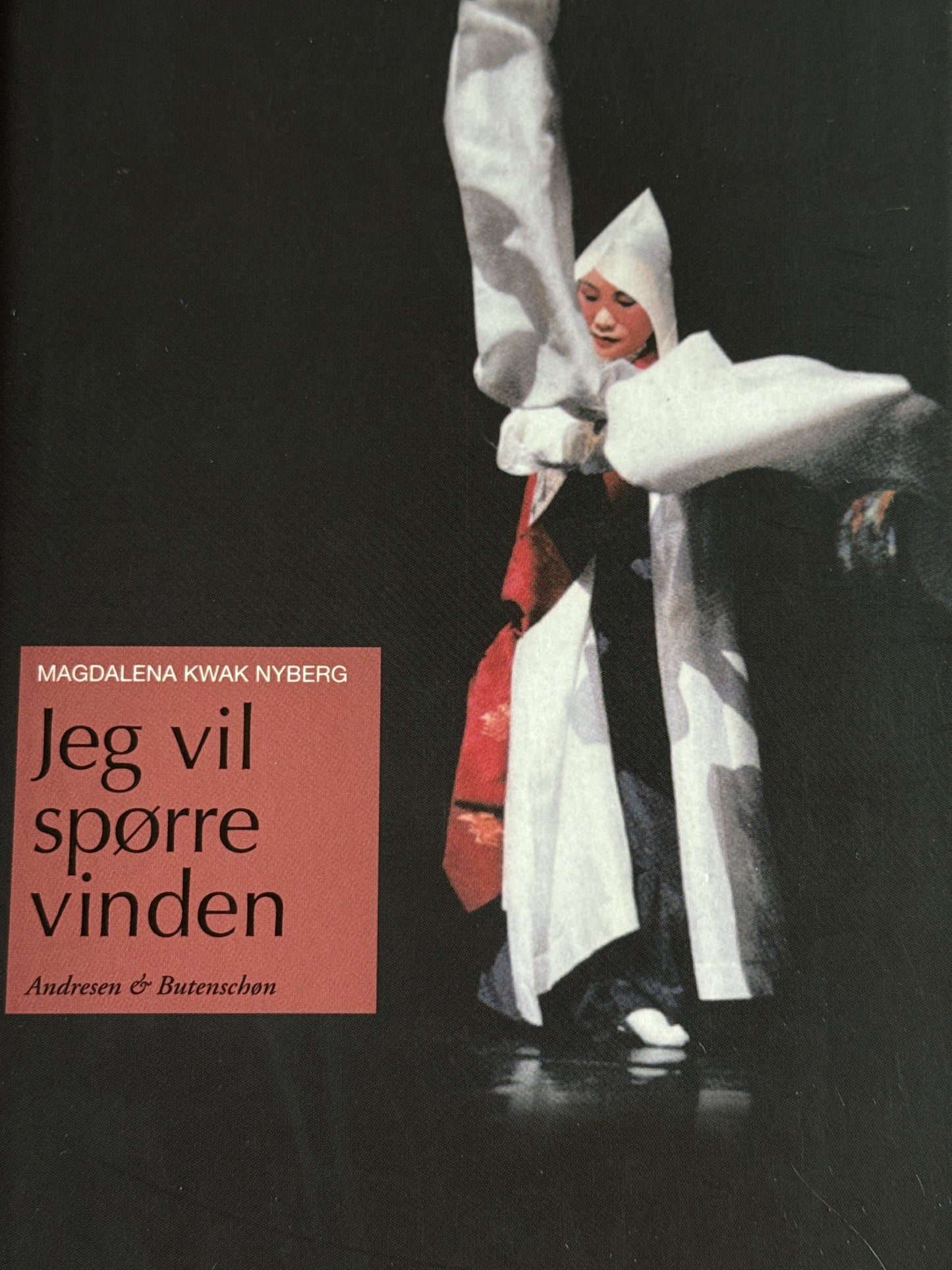 Jeg vil spørre vinden - Innbundet