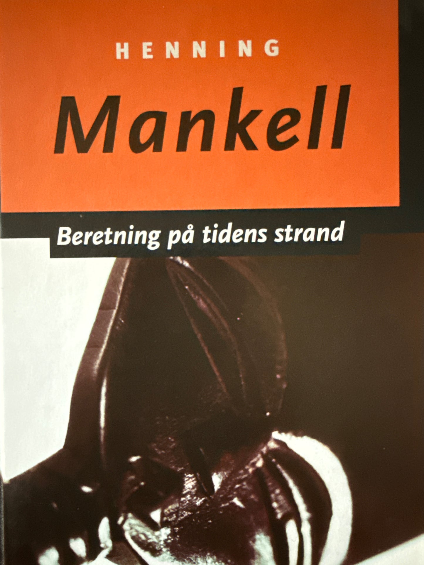 Beretning på tidens strand - Innbundet