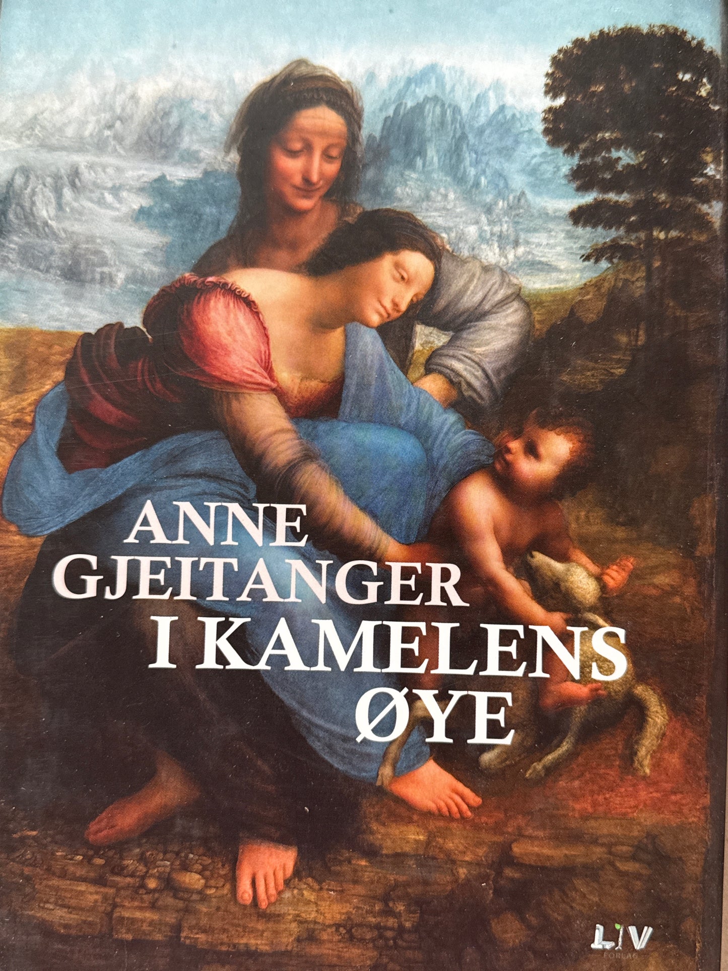 I kamelens øye - Innbundet