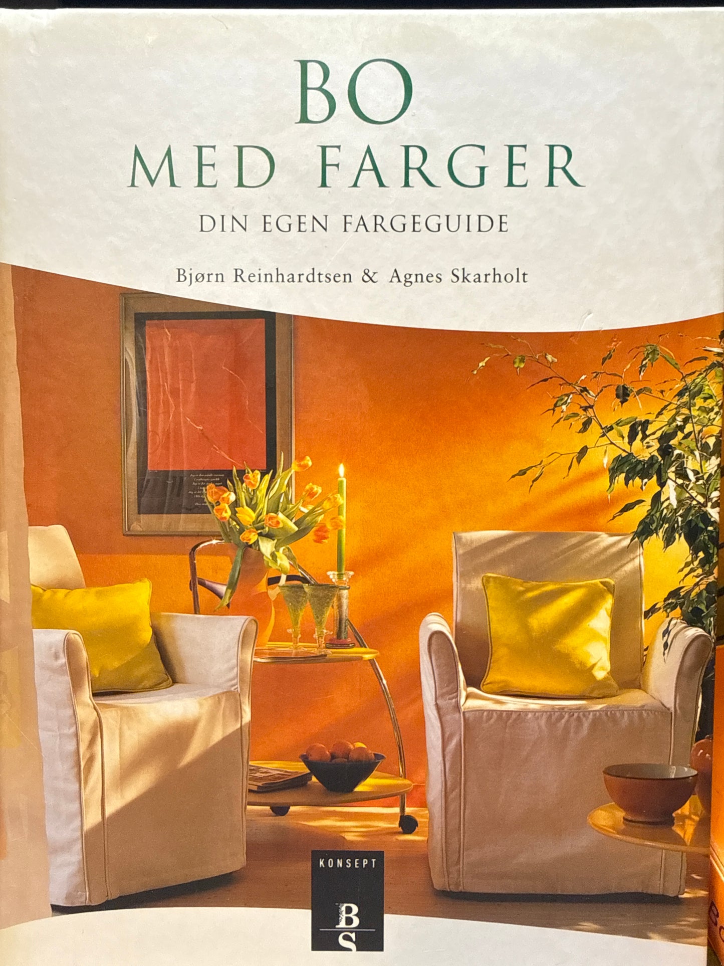 Bo med farger : din egen fargeguide - Innbundet
