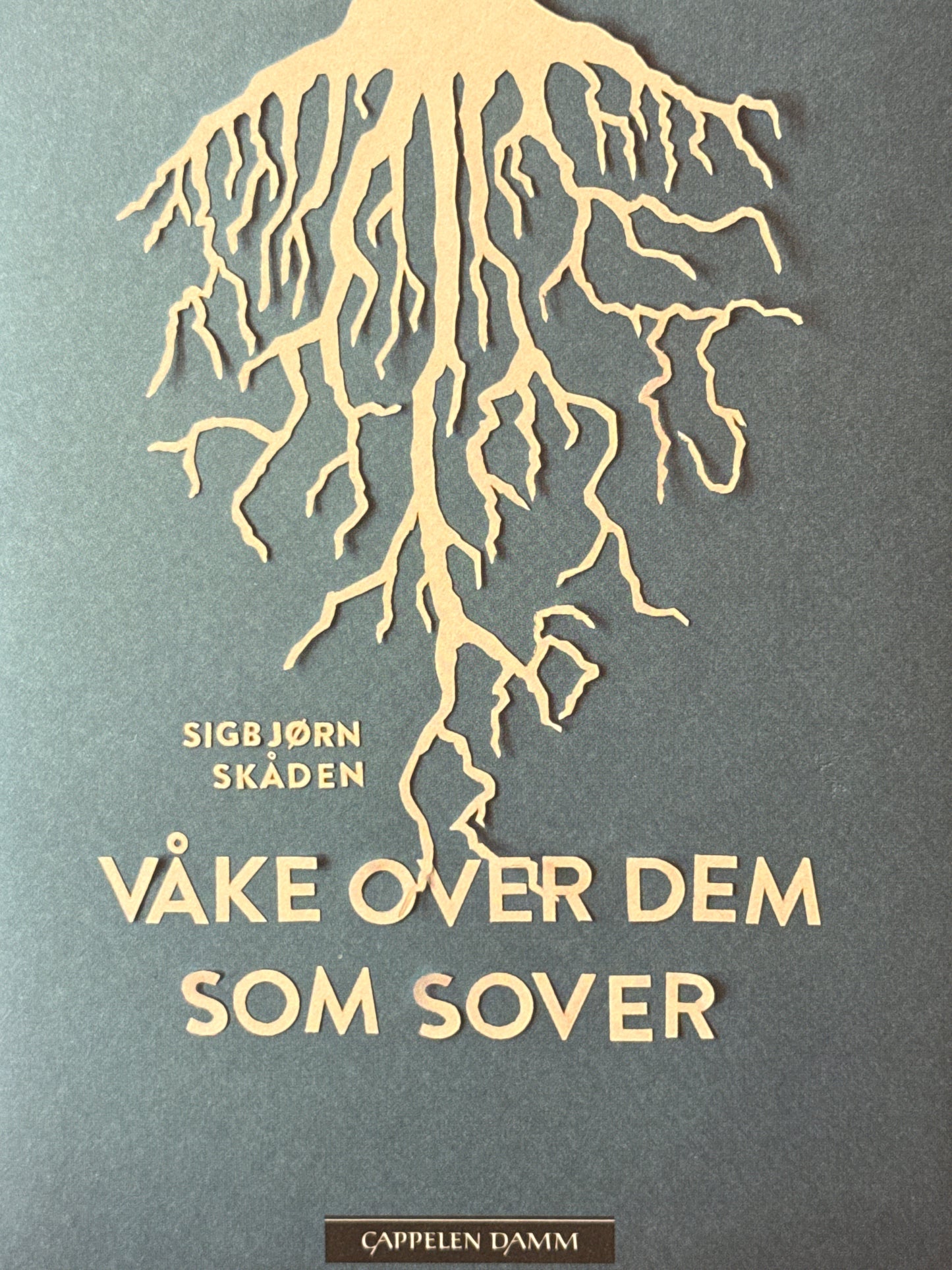 Våke over dem som sover - Innbundet