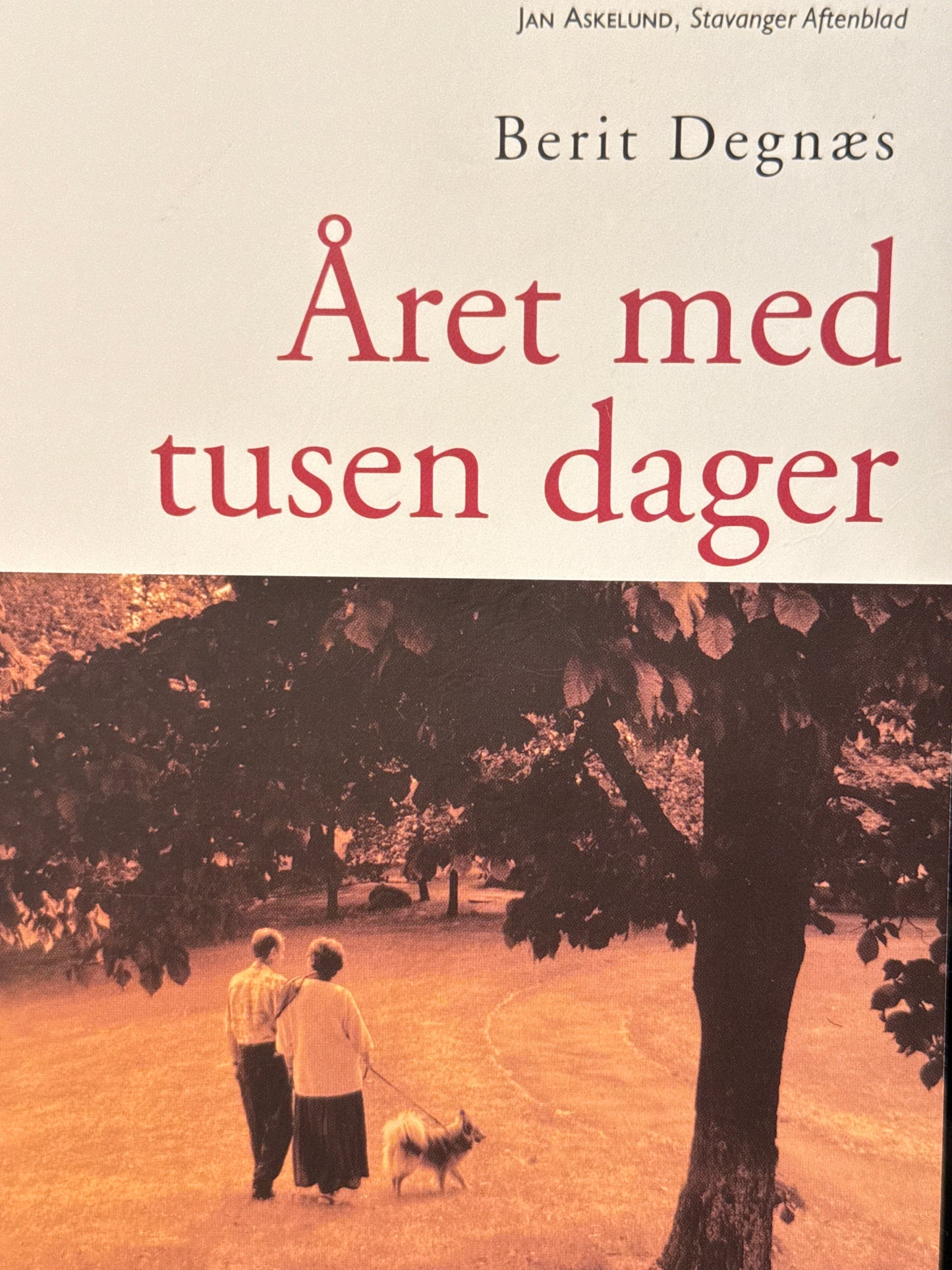 Året med tusen dager - Pocket