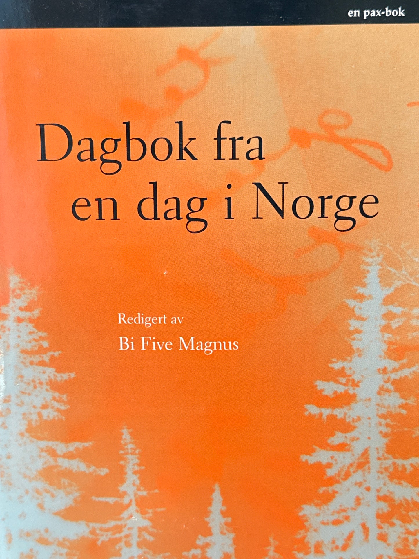 Dagbok fra en dag i Norge - Innbundet
