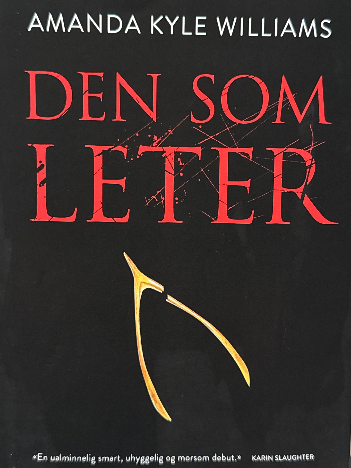 Den som leter - Innbundet