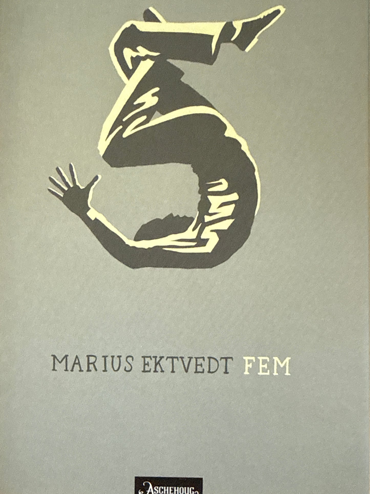 Fem - Innbundet