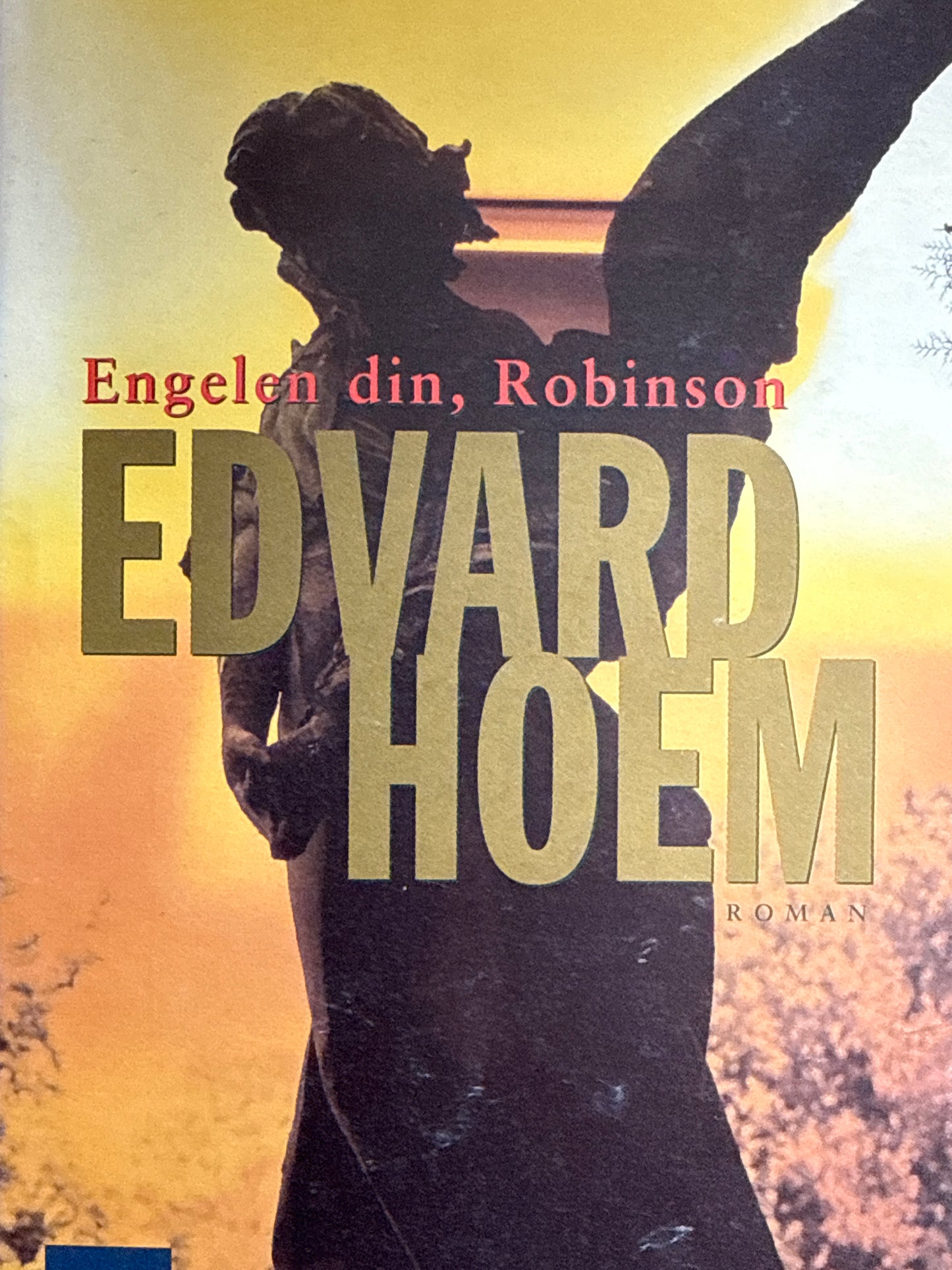 Engelen din, Robinson - Innbundet