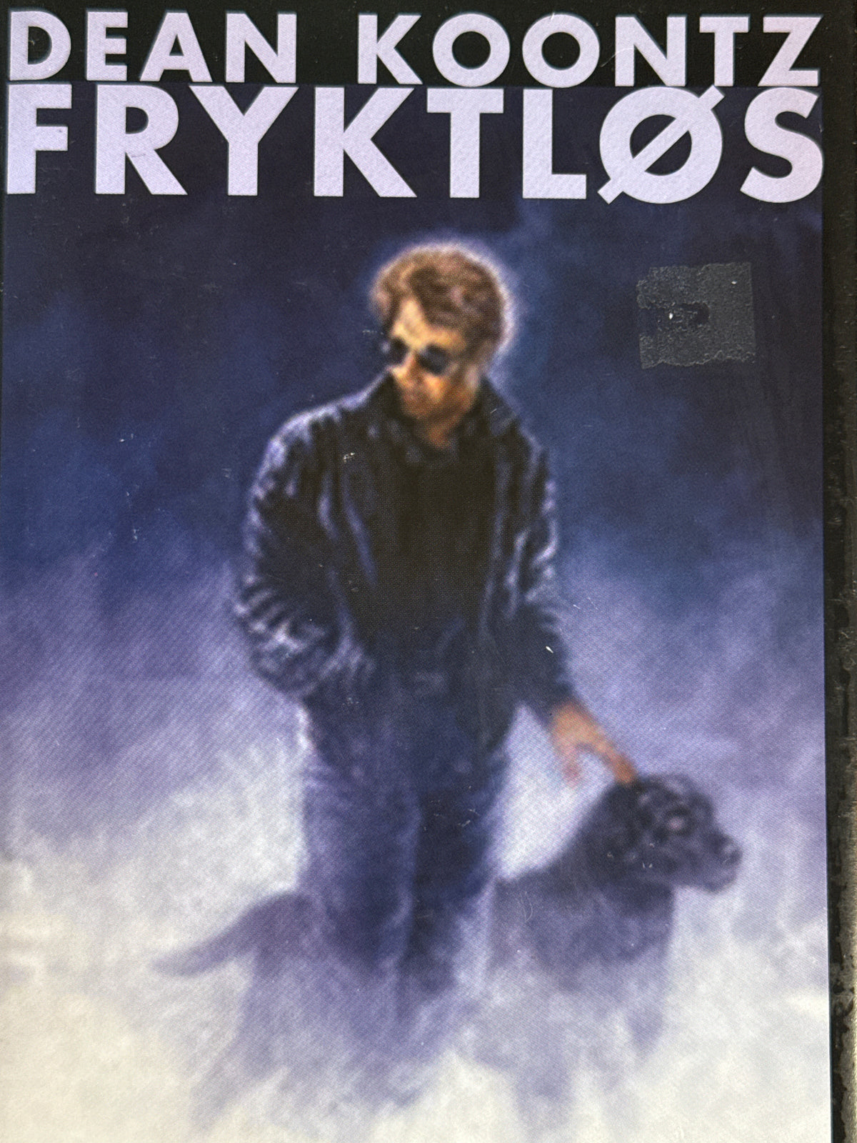 Fryktløs - Innbundet