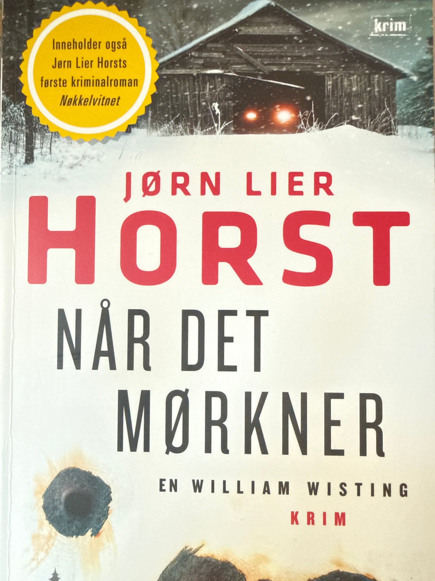 Når det mørkner - Pocket