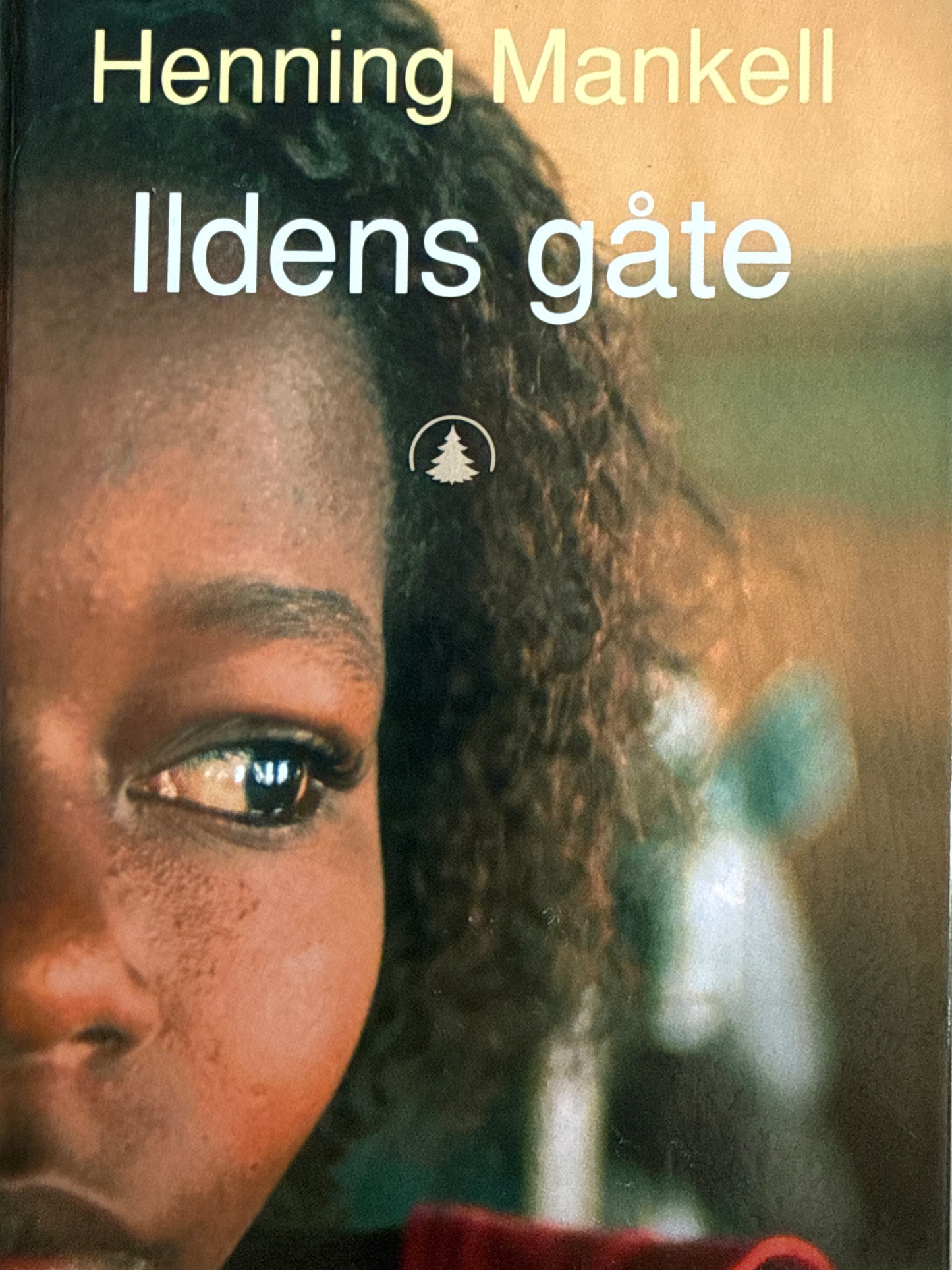 Ildens gåte - Innbundet