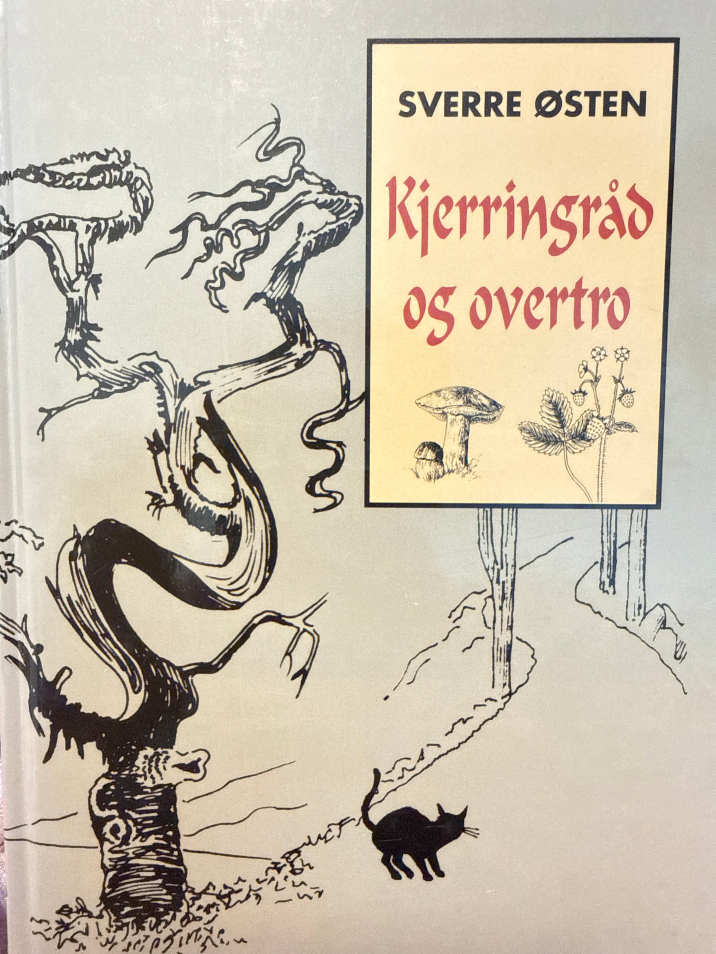 Kjerringråd og overtro - Innbundet