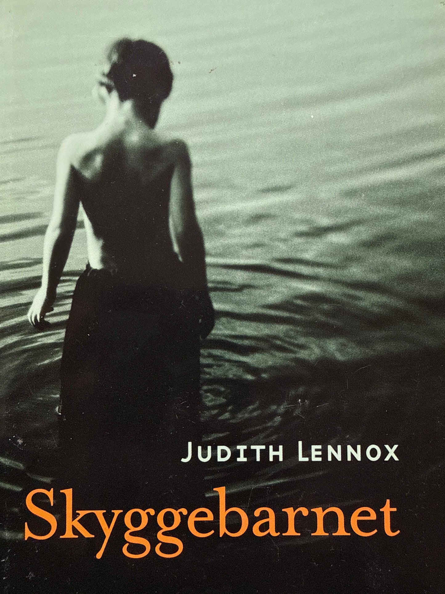Skyggebarnet - Innbundet
